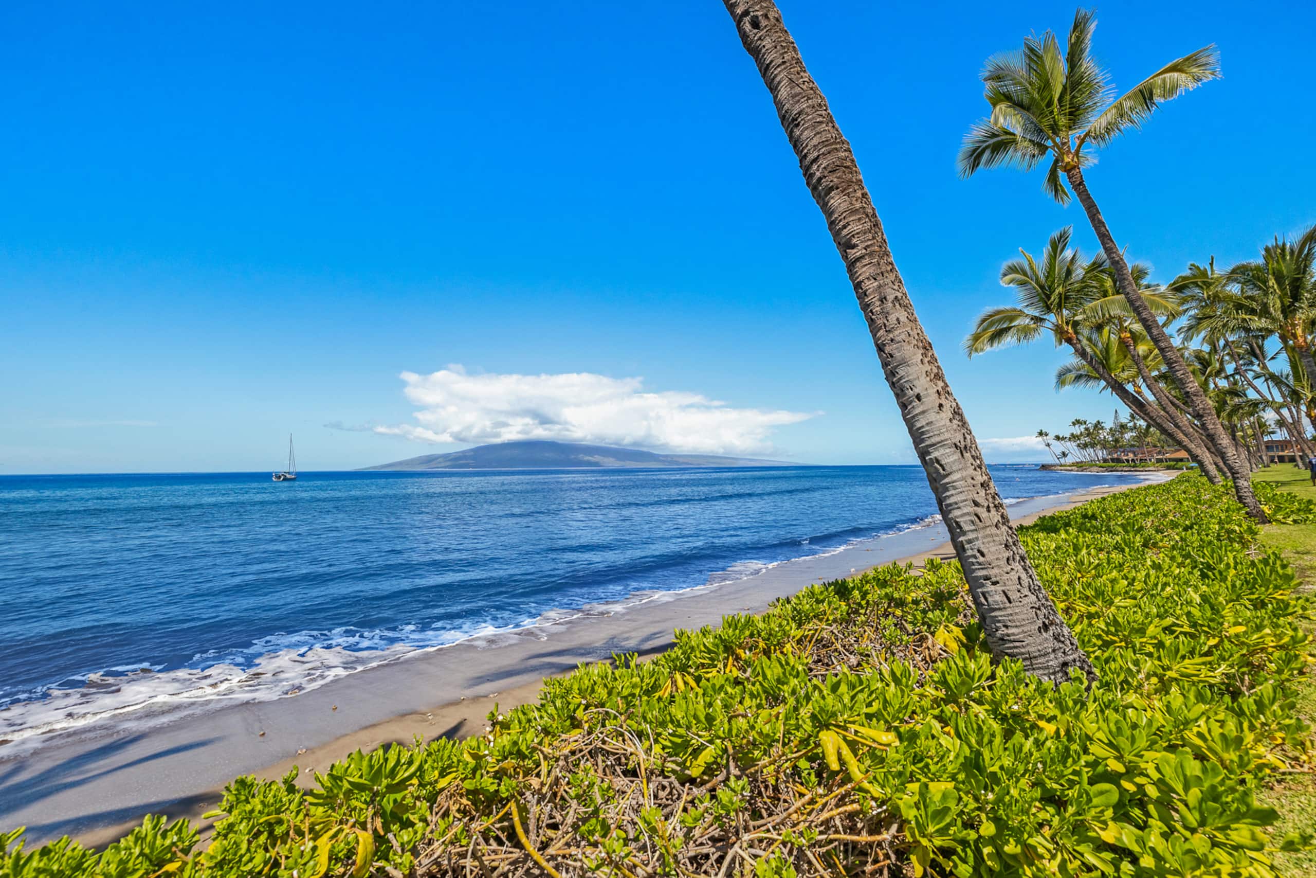 Home in Lahaina · ★5.0 · 4 bedrooms · 5 beds · 4.5 baths - Image 11