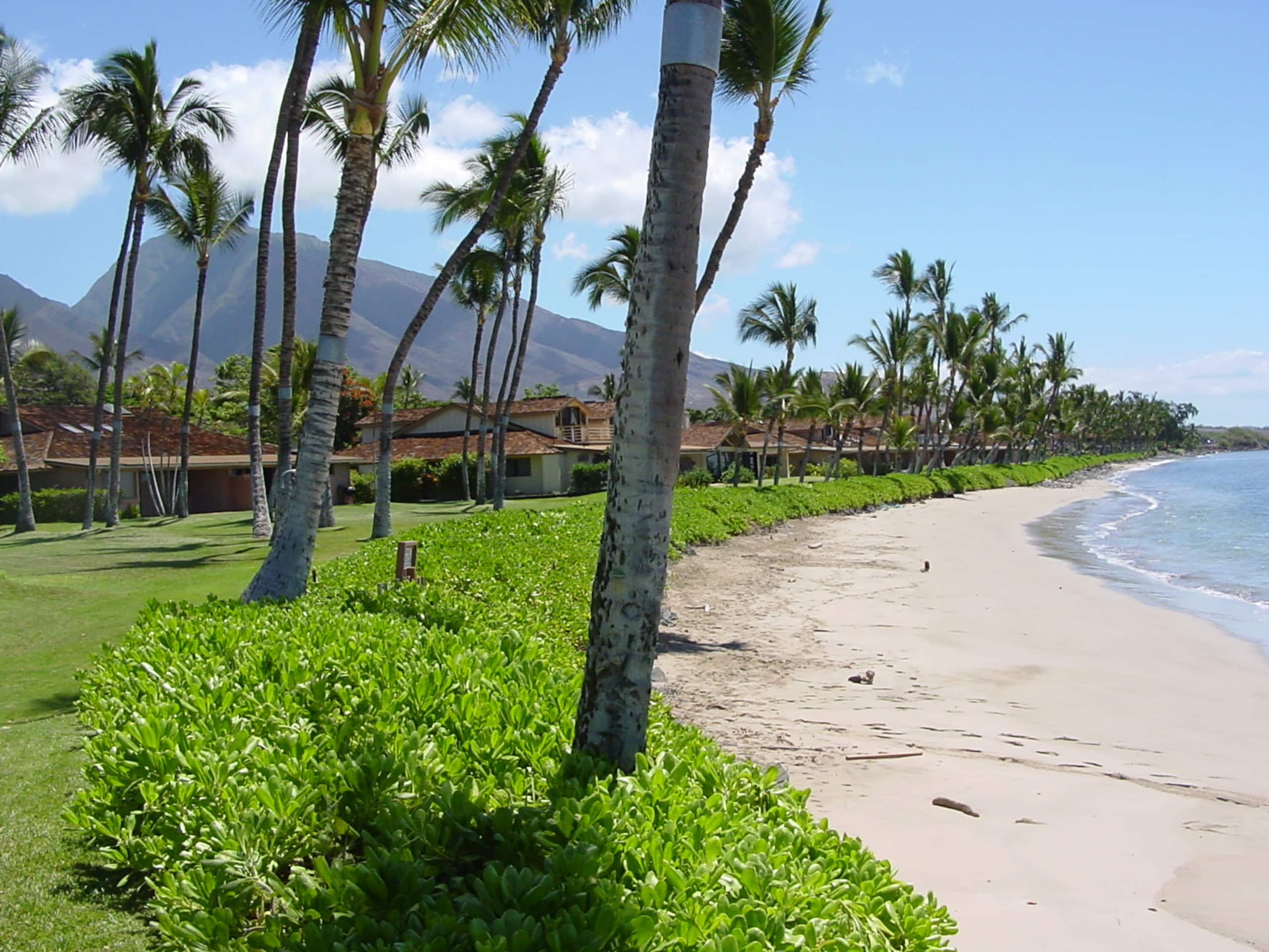 Home in Lahaina · ★5.0 · 4 bedrooms · 5 beds · 4.5 baths - Image 46