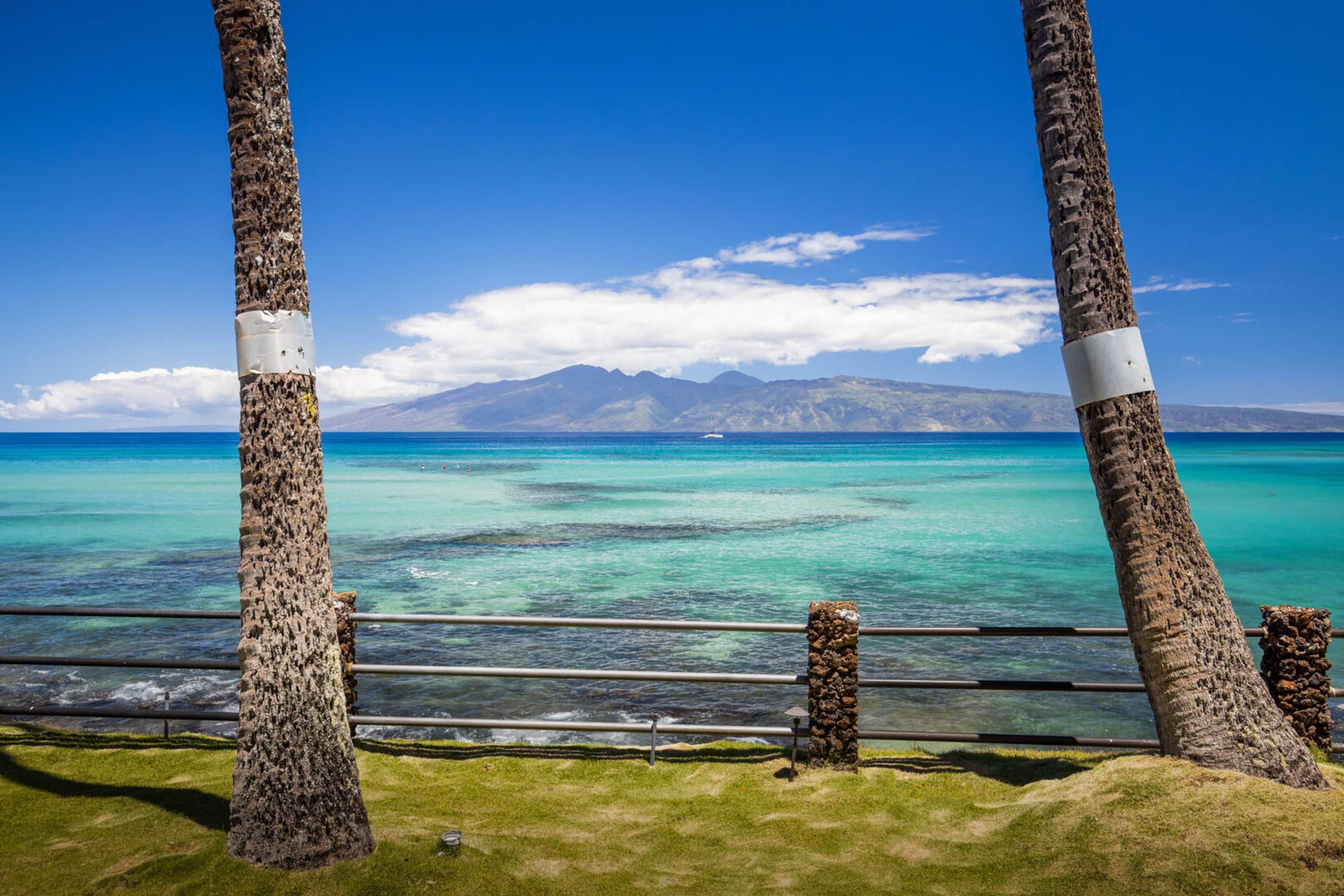 Condo in Lahaina · ★4.89 · 1 bedroom · 2 beds · 1 private bath - Image 4
