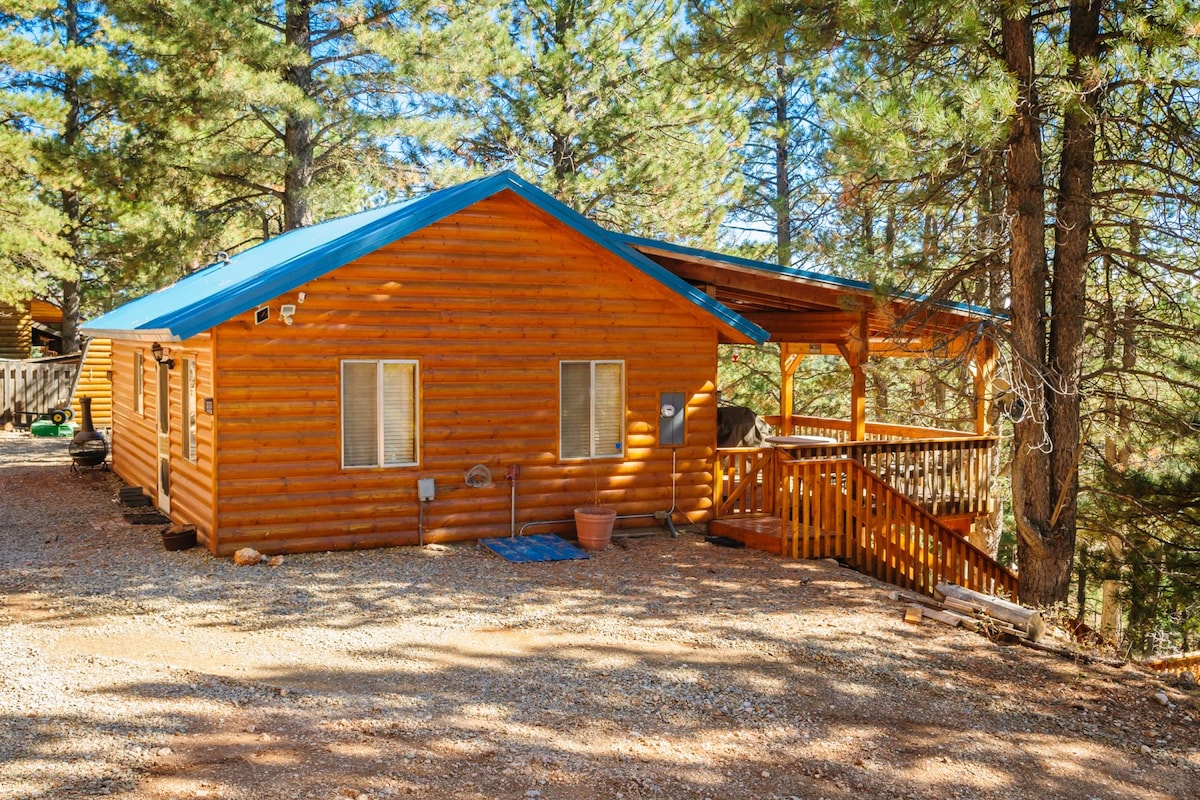 A charming cabin is nestled among tall pine trees, featuring a wooden exterior with a bright blue roof. The porch extends along the front, offering a space for outdoor relaxation. Two windows are visible, allowing natural light into the living area.