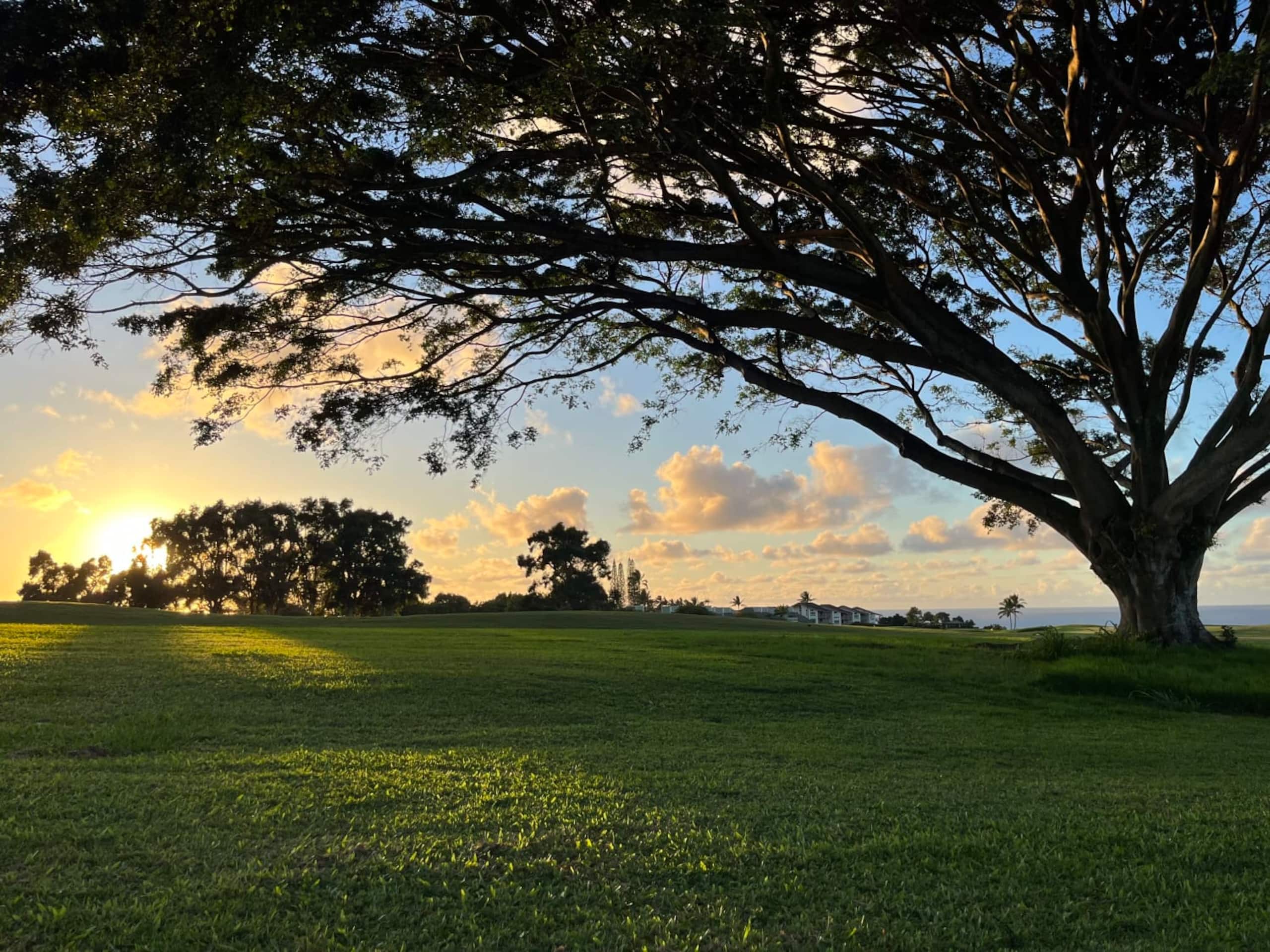 Ocean and Sunset View on Makai Golf Course - Photo 29