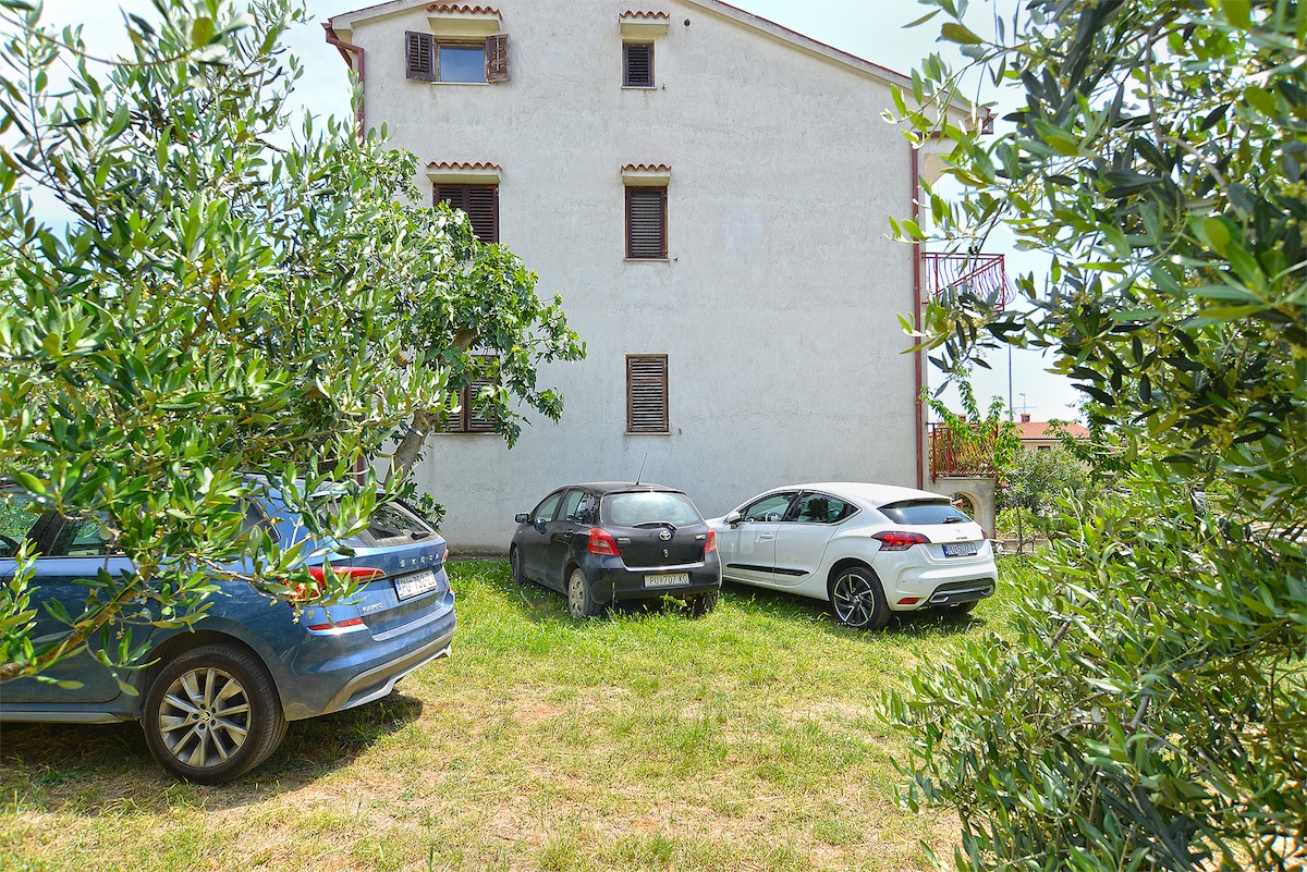 Apartment 2250/69843 - Apartments for Rent in Fažana, Istria County ...