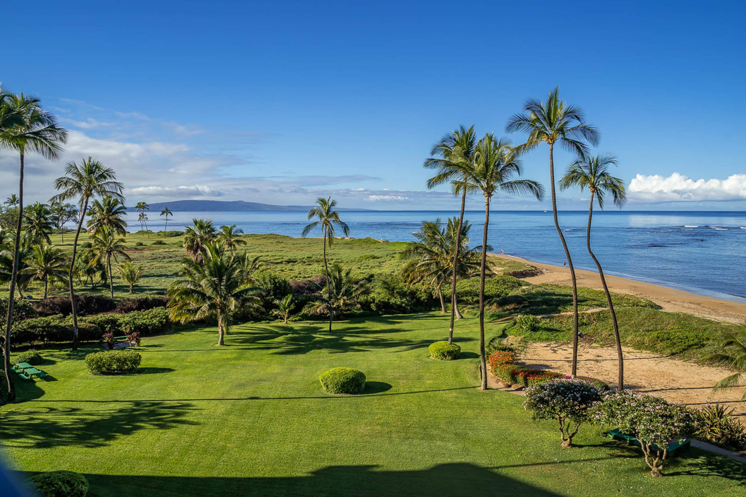 Condo in Kihei · ★4.38 · 1 bedroom · 1 bed · 1 bath - Image 2