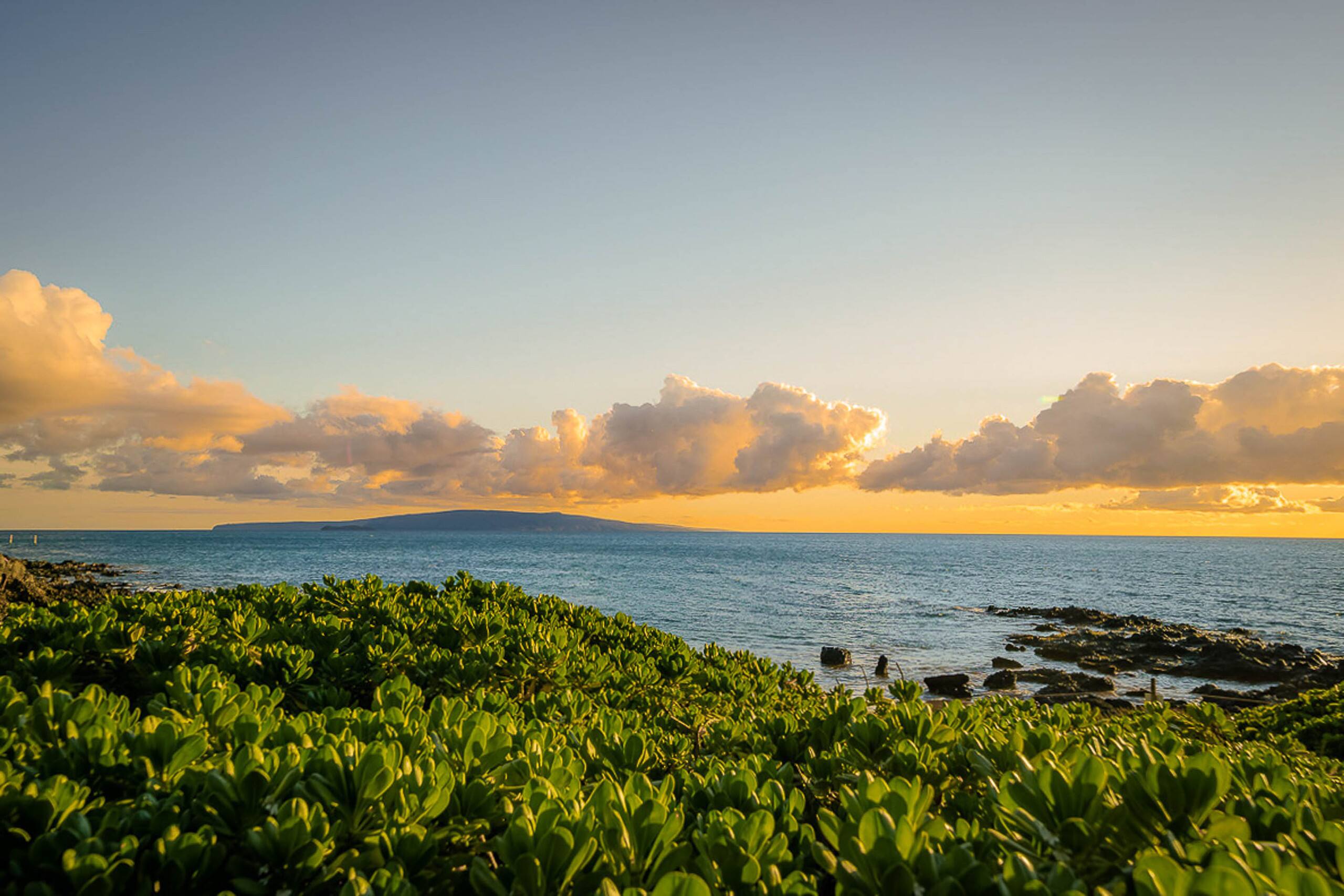 Condo in Kihei · ★4.56 · 1 bedroom · 2 beds · 2 baths - Image 22