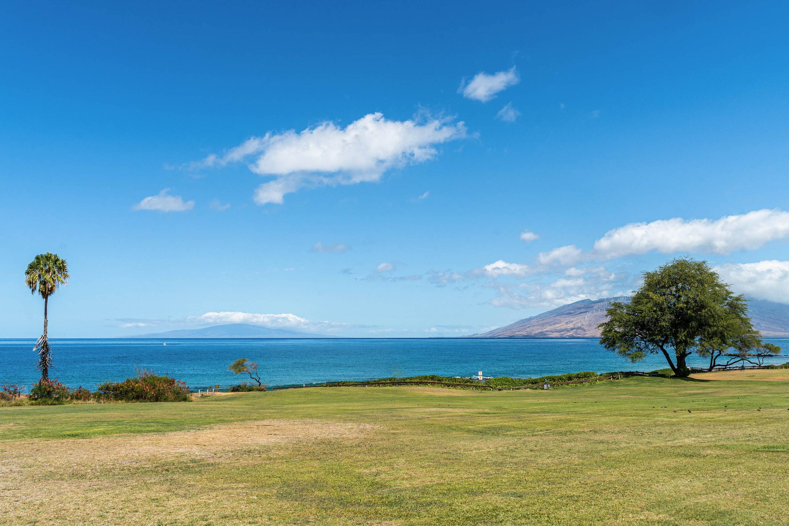Condo in Kihei · ★4.56 · 1 bedroom · 2 beds · 2 baths - Image 20