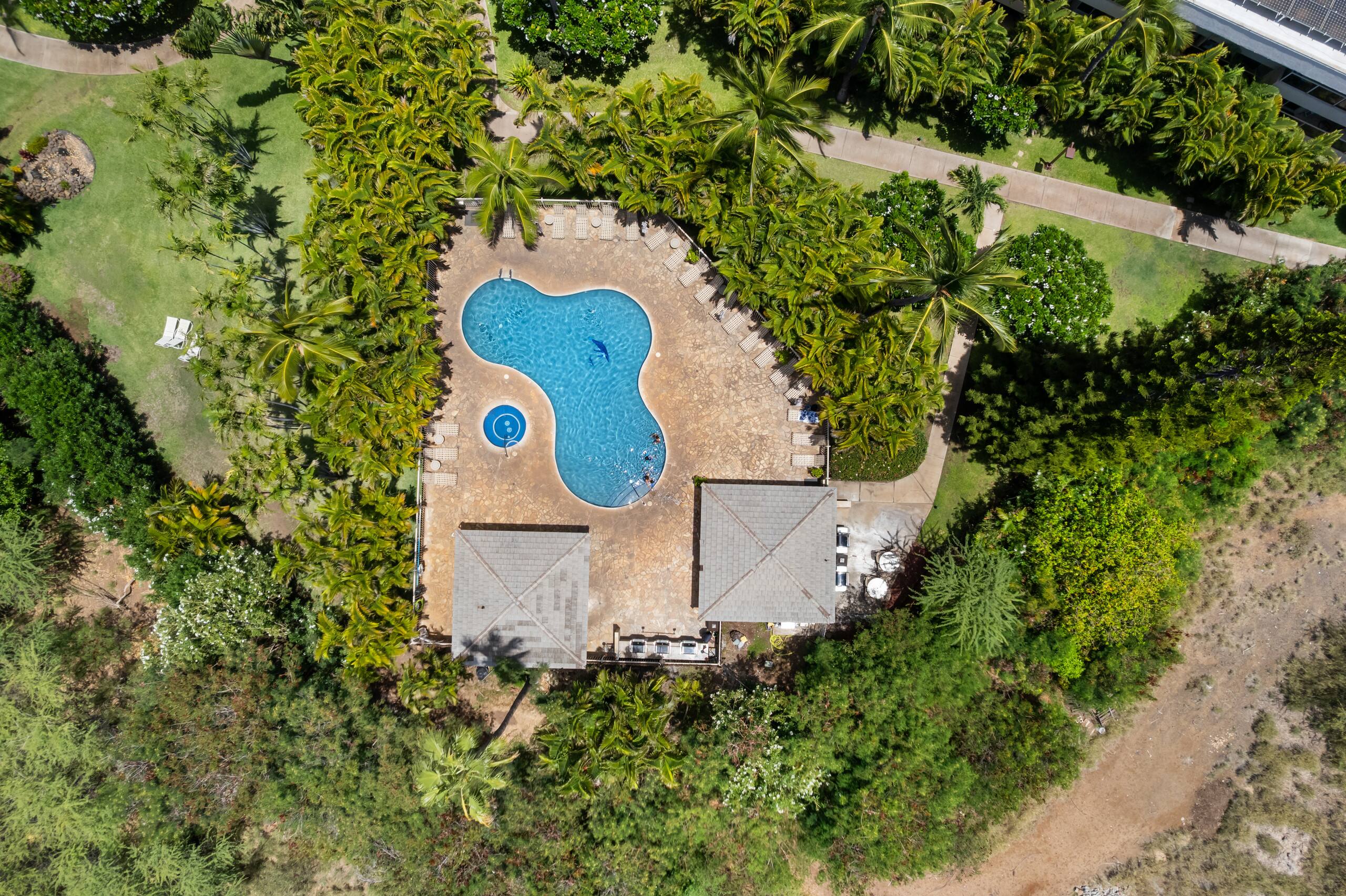 Condo in Kihei · ★4.56 · 1 bedroom · 2 beds · 2 baths - Image 33