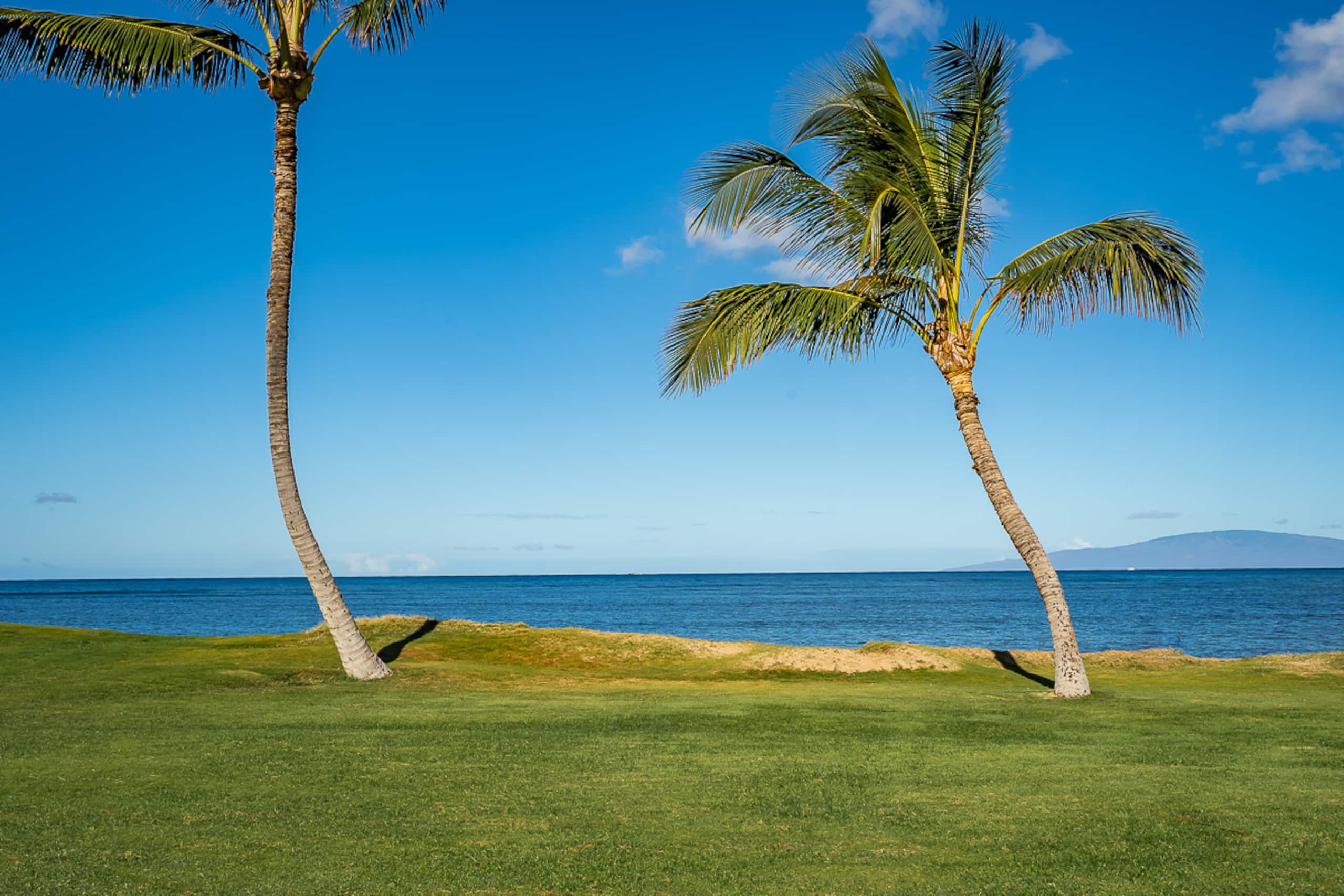 Condo in Kihei · ★4.73 · 3 bedrooms · 5 beds · 3 shared baths - Image 35