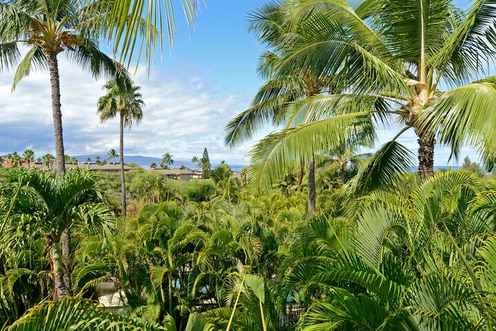 Maui Rental Group managed Airbnb listing 2