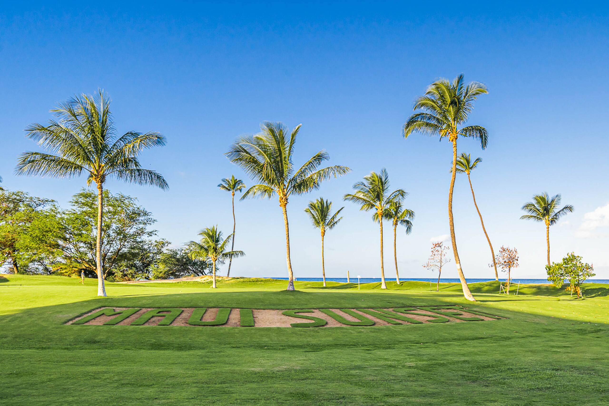 Condo in Kihei · ★4.75 · 1 bedroom · 3 beds · 2 shared baths - Image 1
