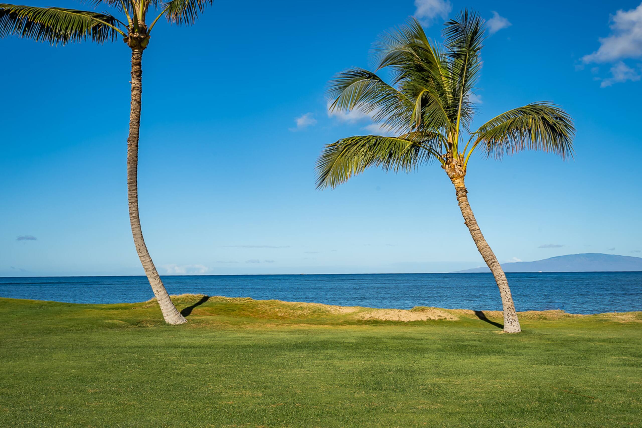 Condo in Kihei · ★4.75 · 1 bedroom · 3 beds · 2 shared baths - Image 30