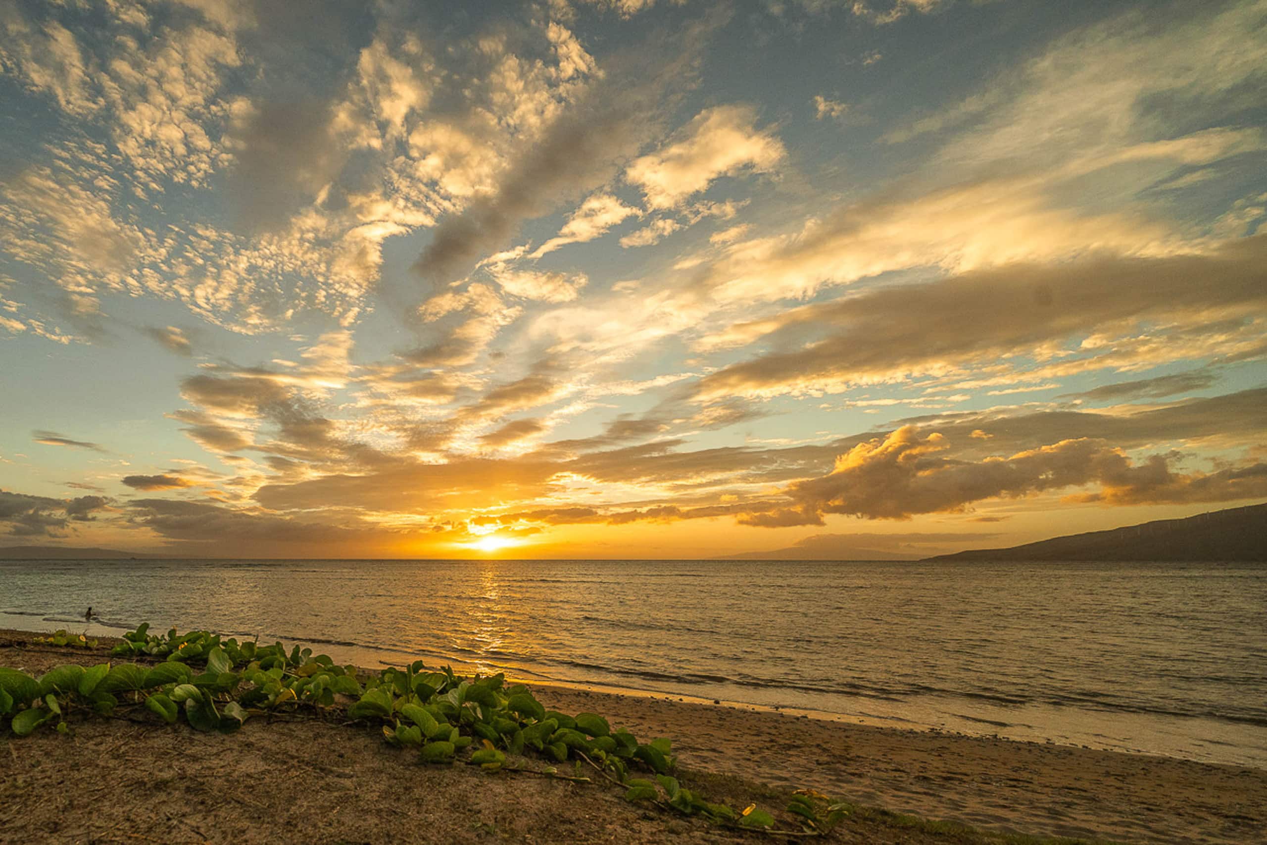 Condo in Kihei · ★4.75 · 1 bedroom · 3 beds · 2 shared baths - Image 2