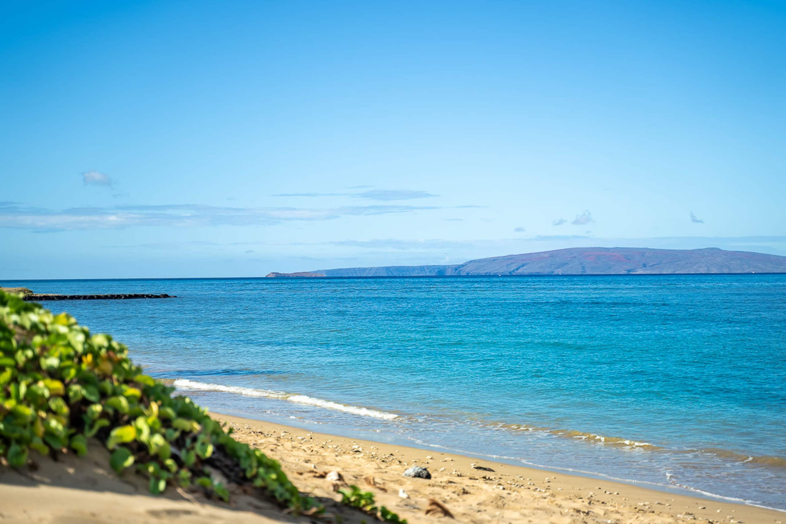 Condo in Kihei · ★4.75 · 1 bedroom · 3 beds · 2 shared baths - Image 22