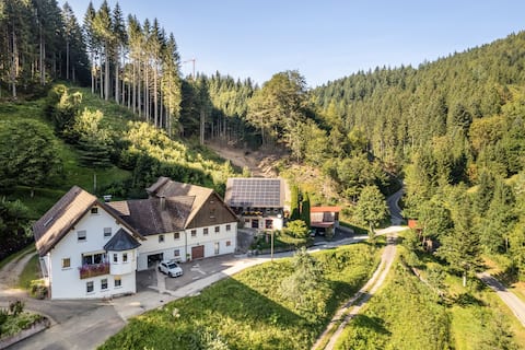 Erfolgreiche Airbnb-Immobilie: Brumichelhof in Bad Peterstal Griesbach