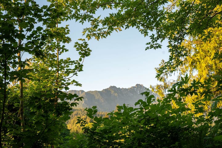 Tree Frog Terrace W/ Trails, Views, River Access - Index, WA