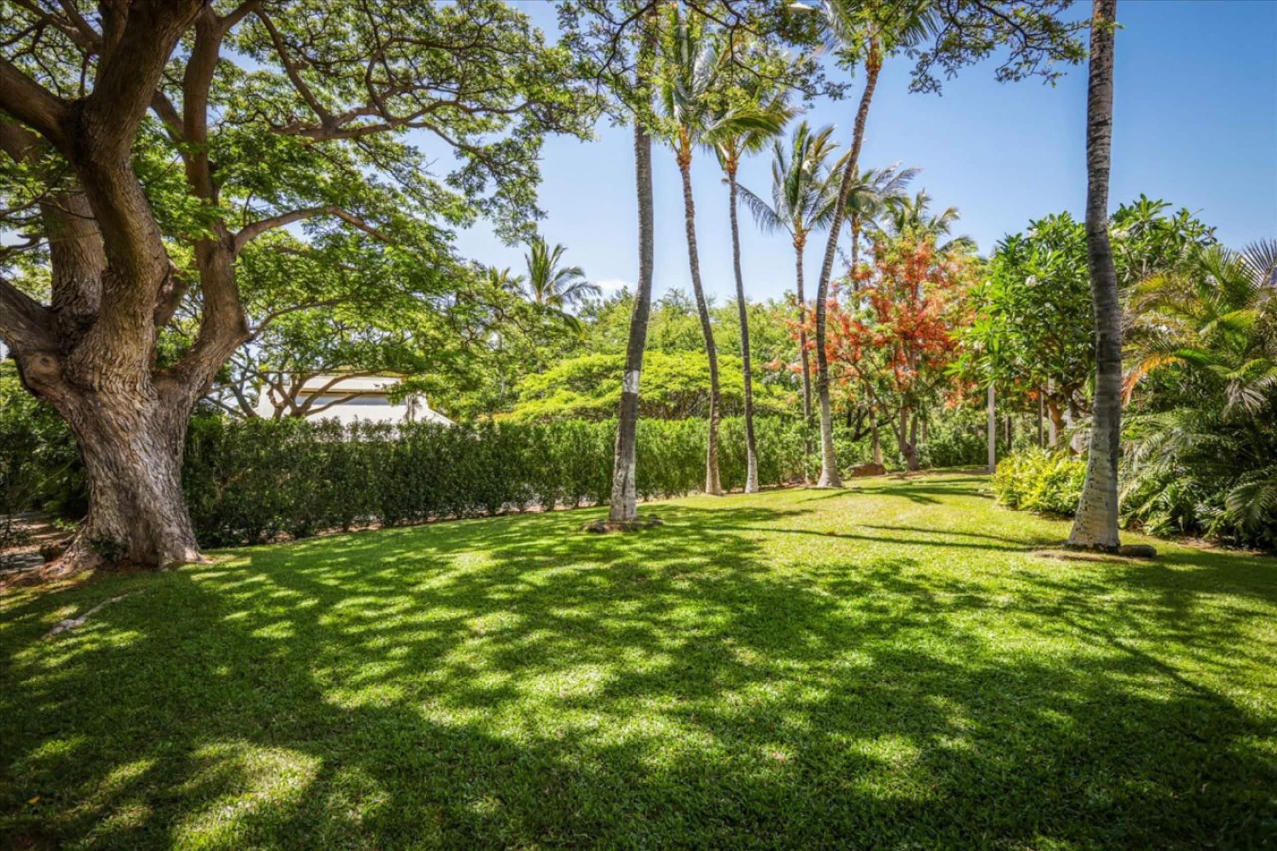 Home in Puako · ★4.97 · 2 bedrooms · 1 bed · 2 baths - Photo 17