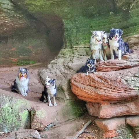 Hillis vacation apartment