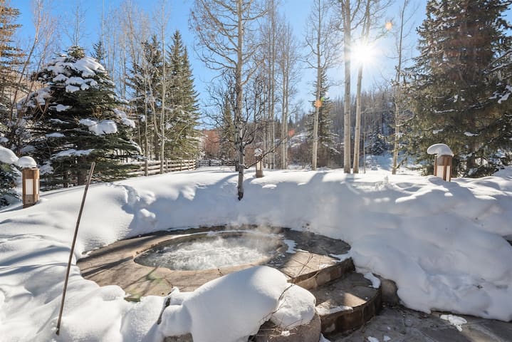 Aspen Leisure managed Airbnb listing 1