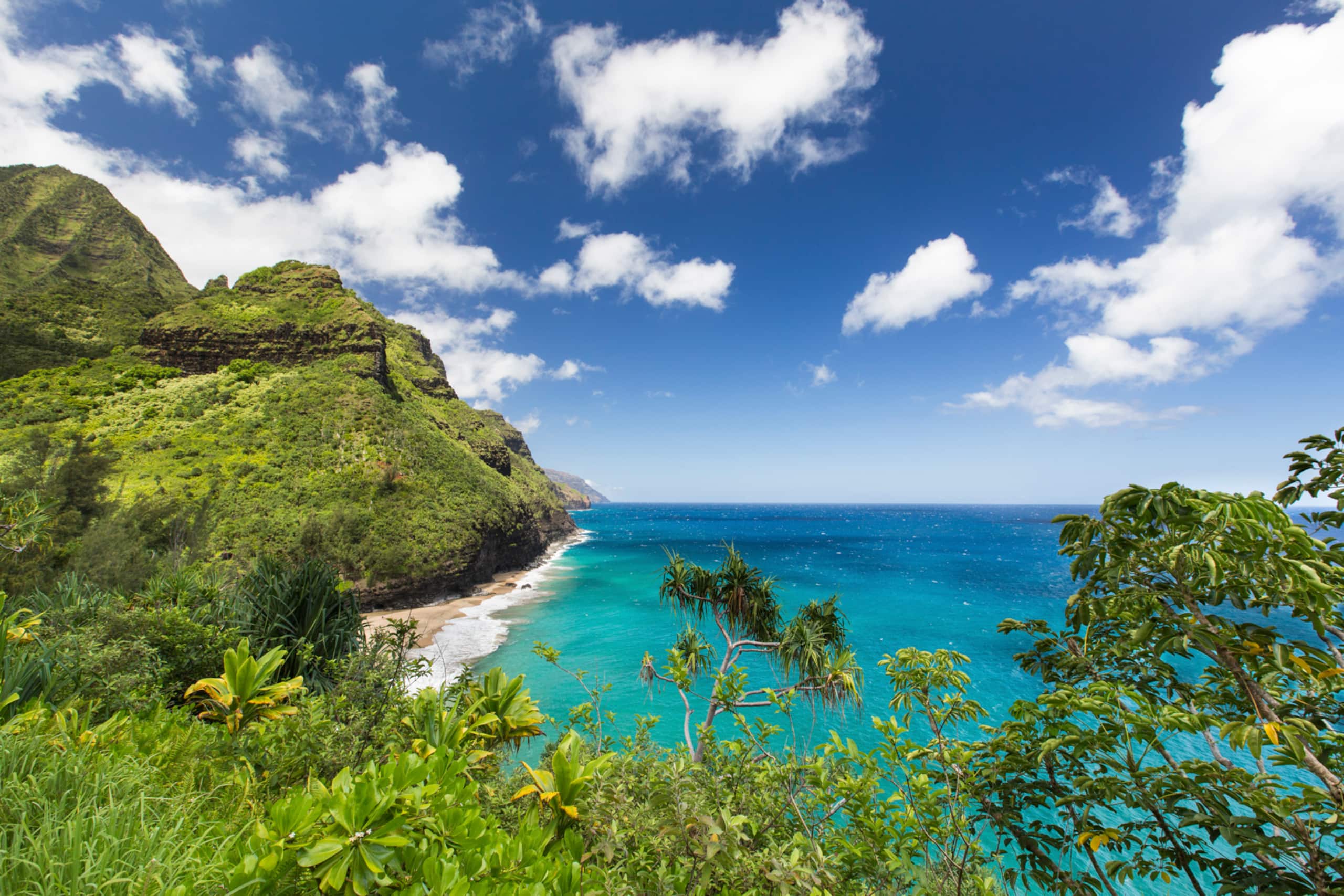 Condo in Kapaa · ★4.67 · 2 bedrooms · 2 beds · 1 private bath - Image 41