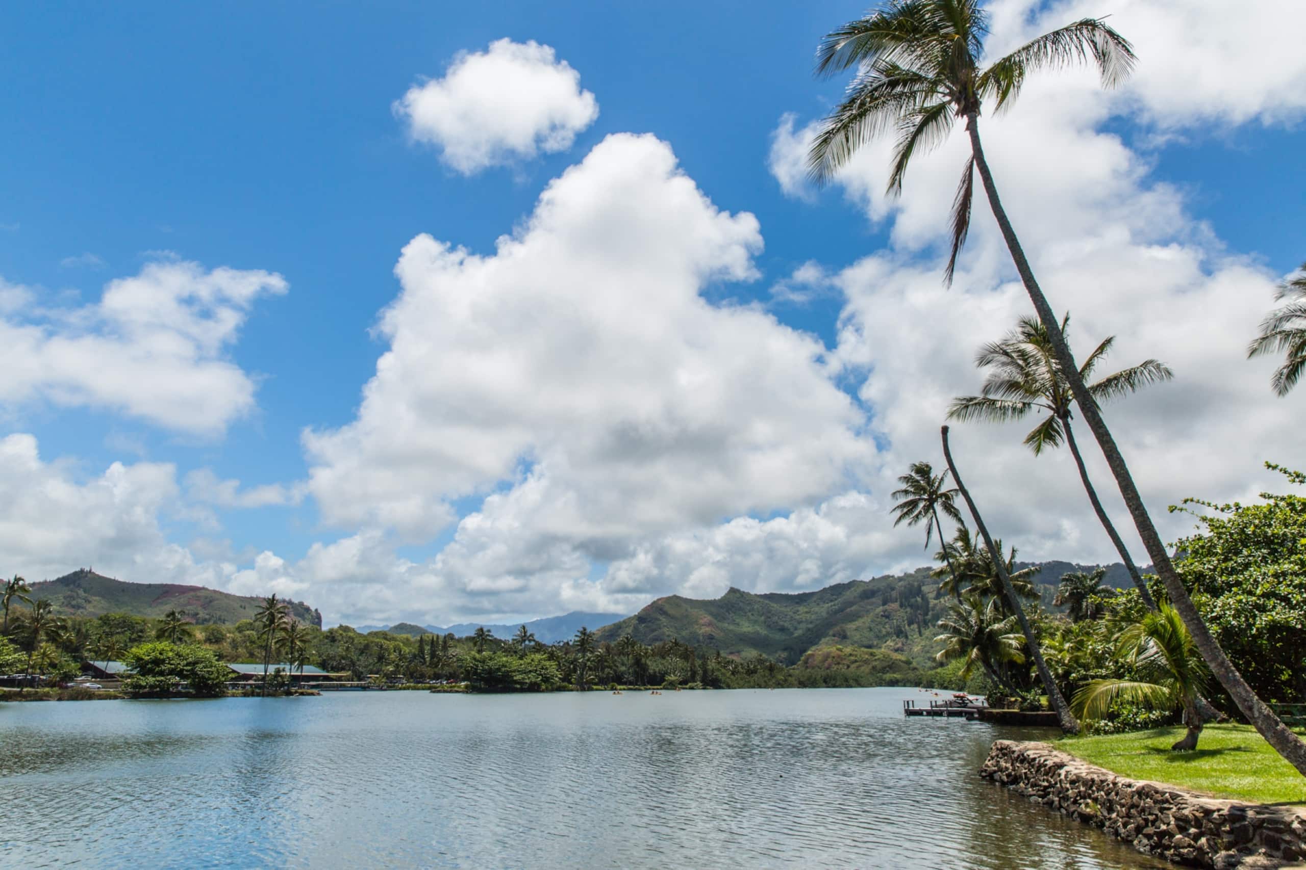 Condo in Kapaa · ★4.67 · 2 bedrooms · 2 beds · 1 private bath - Image 43