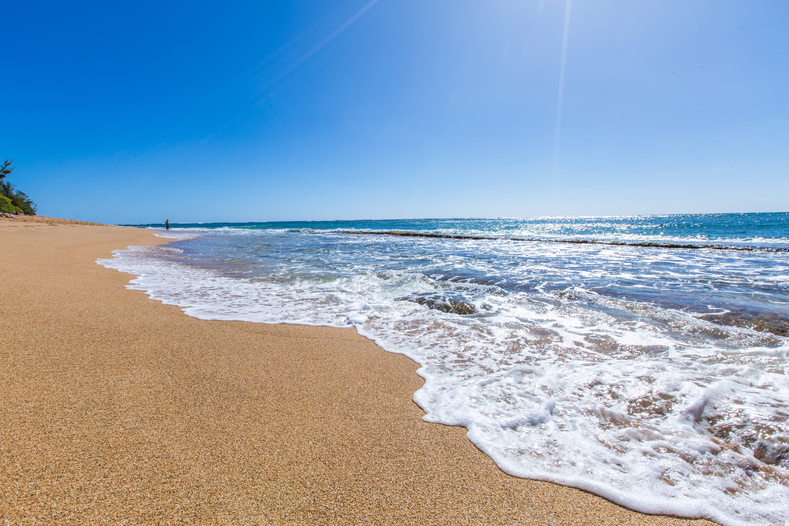 Condo in Kapaa · ★4.67 · 2 bedrooms · 2 beds · 1 private bath - Image 39