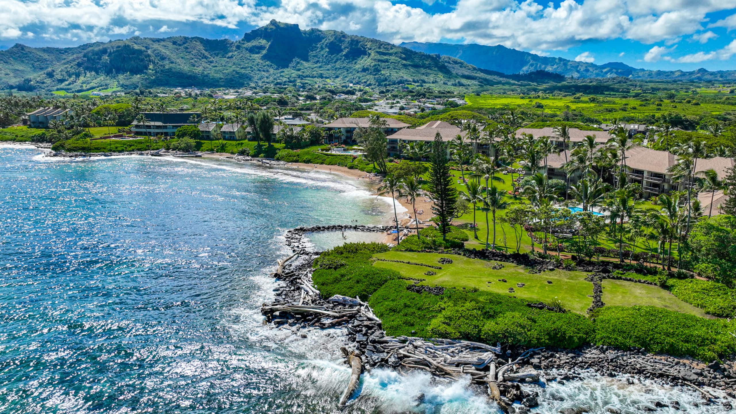 Condo in Kapaa · ★4.92 · 2 bedrooms · 2 beds · 2 baths - Image 52