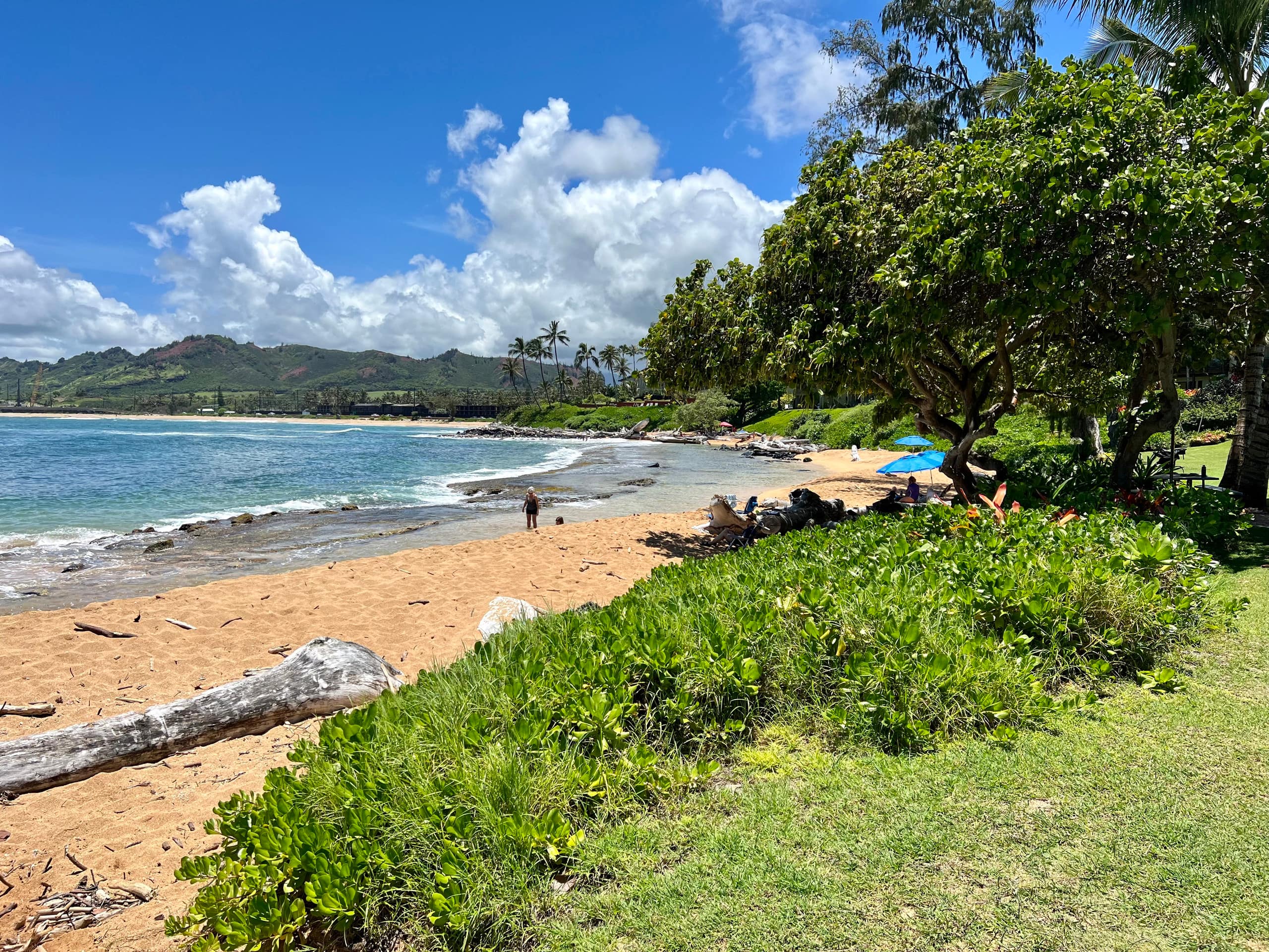 Condo in Kapaa · ★4.92 · 2 bedrooms · 2 beds · 2 baths - Image 32