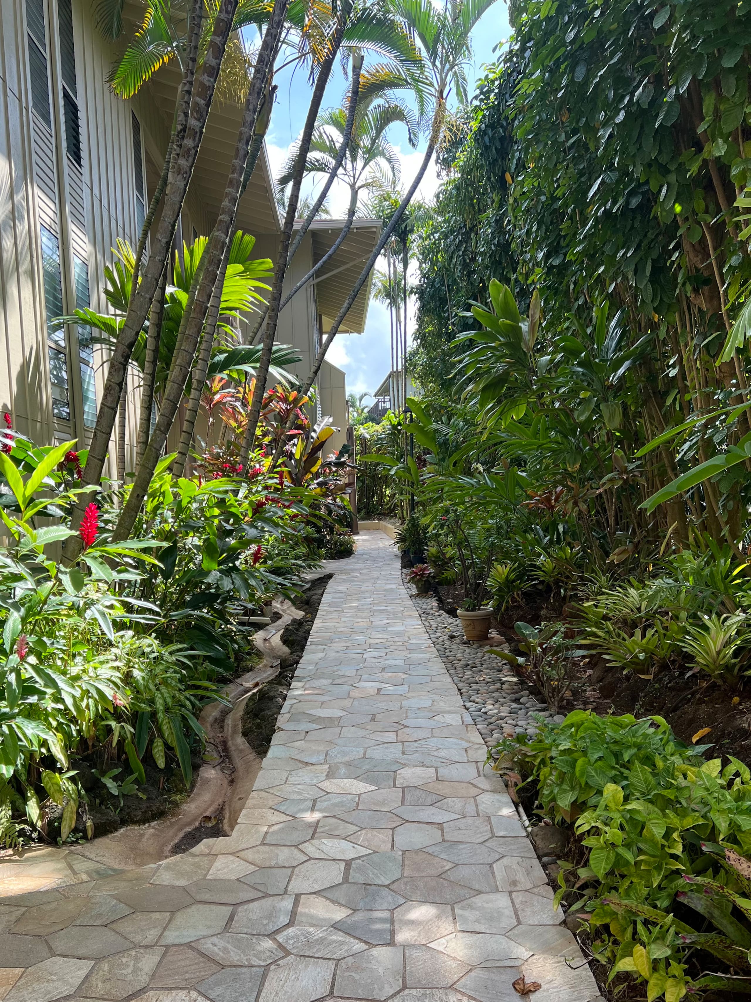 Condo in Kapaa · ★4.92 · 2 bedrooms · 2 beds · 2 baths - Image 47