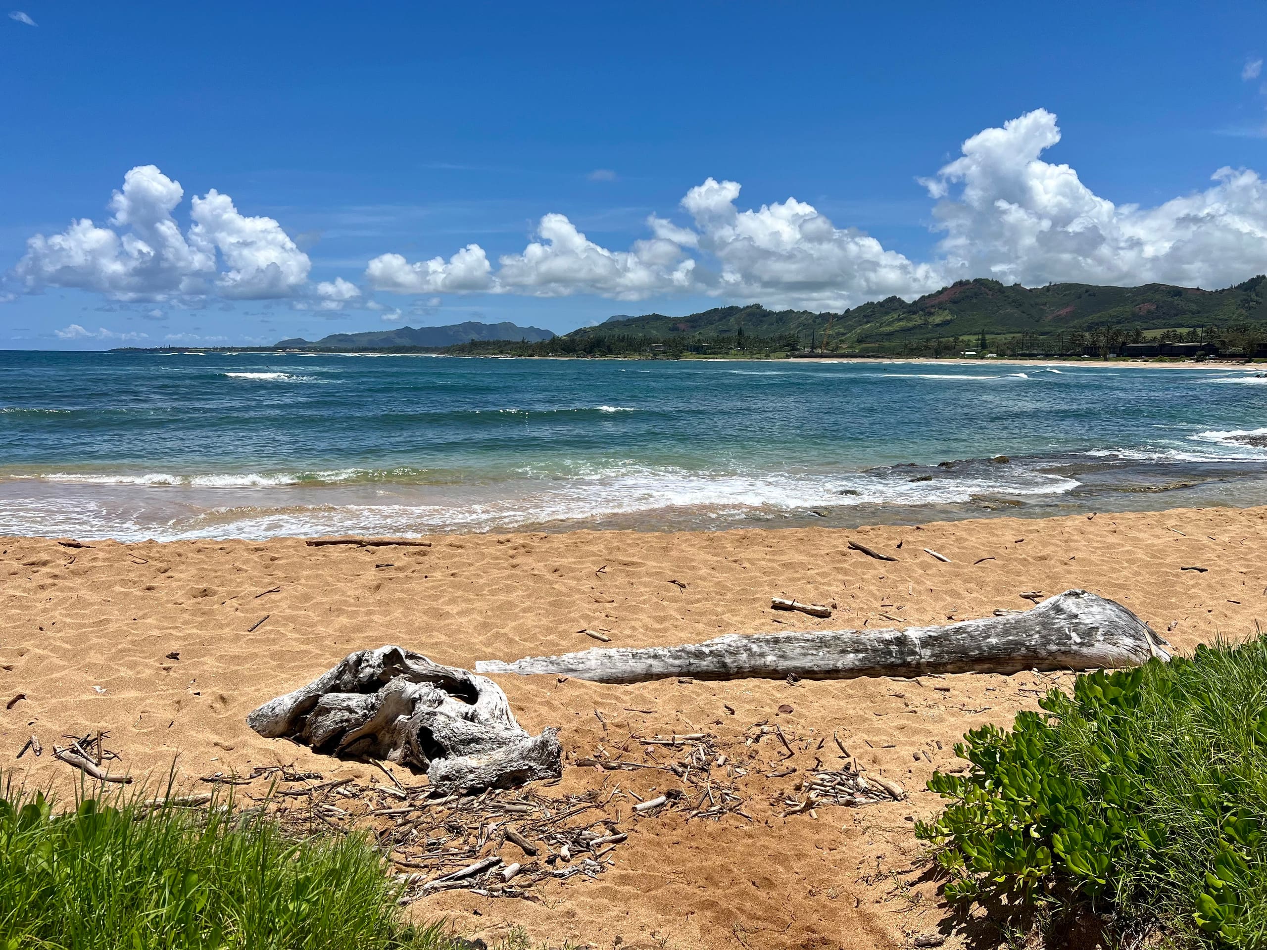Condo in Kapaa · ★4.92 · 2 bedrooms · 2 beds · 2 baths - Image 31