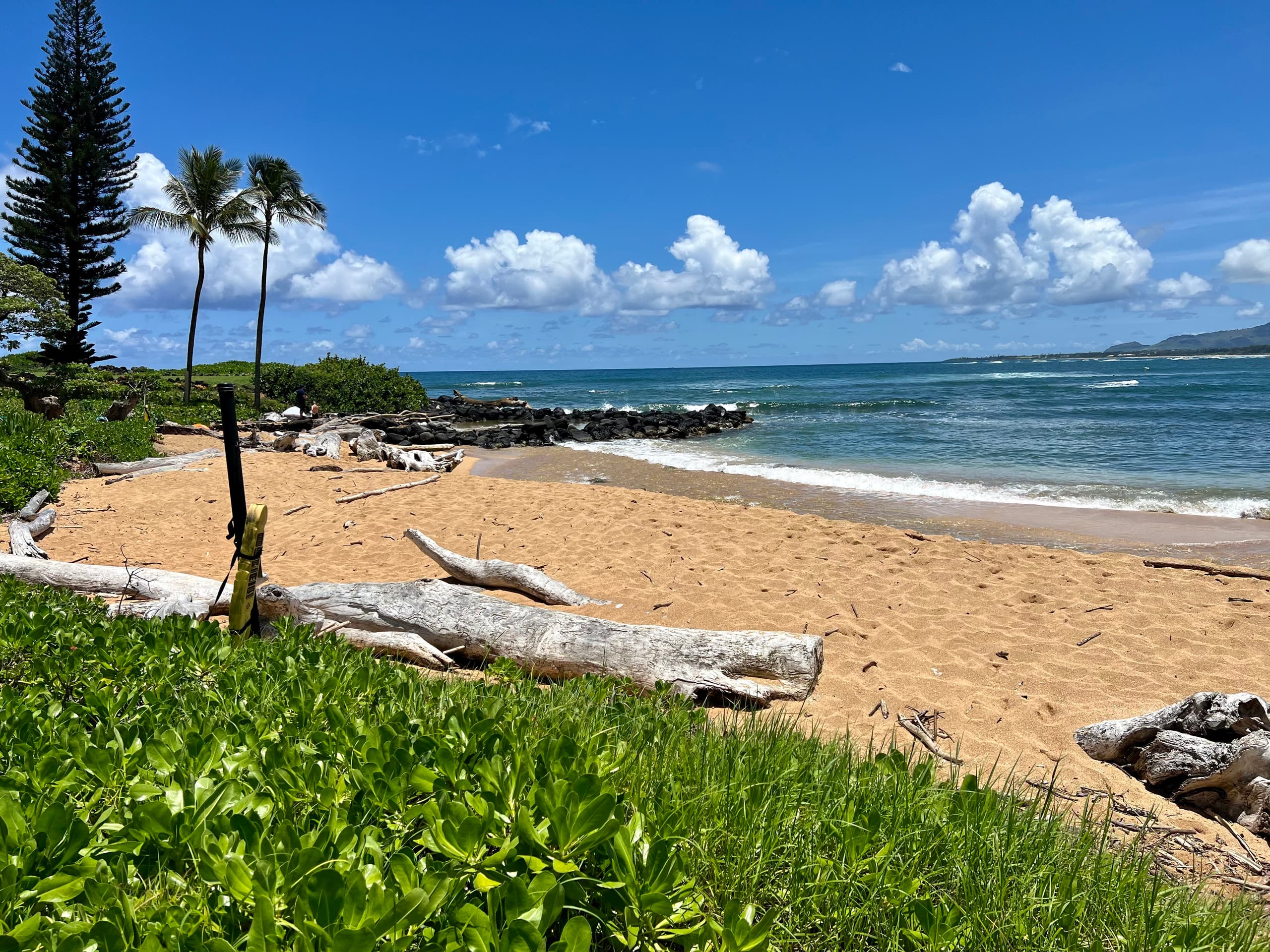 Condo in Kapaa · ★4.92 · 2 bedrooms · 2 beds · 2 baths - Image 30