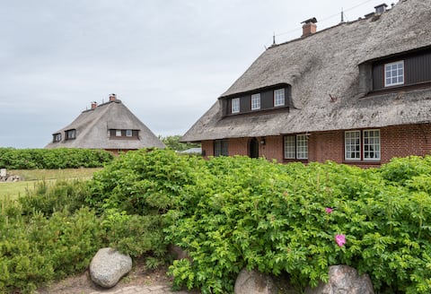 Top Airbnb: Heide Idyll in Wenningstedt Braderup