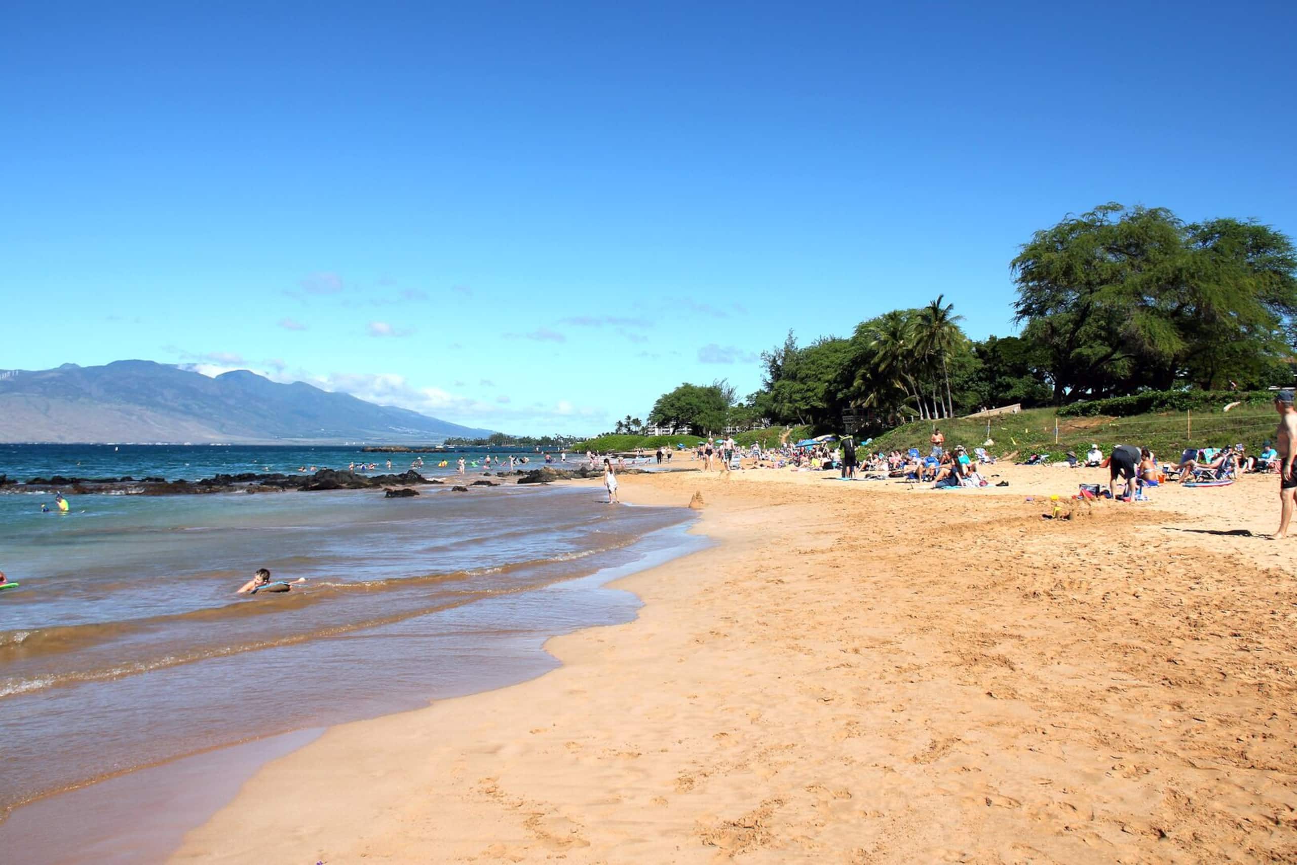 Condo in Kihei · ★4.9 · 1 bedroom · 2 beds · 2 baths - Image 47