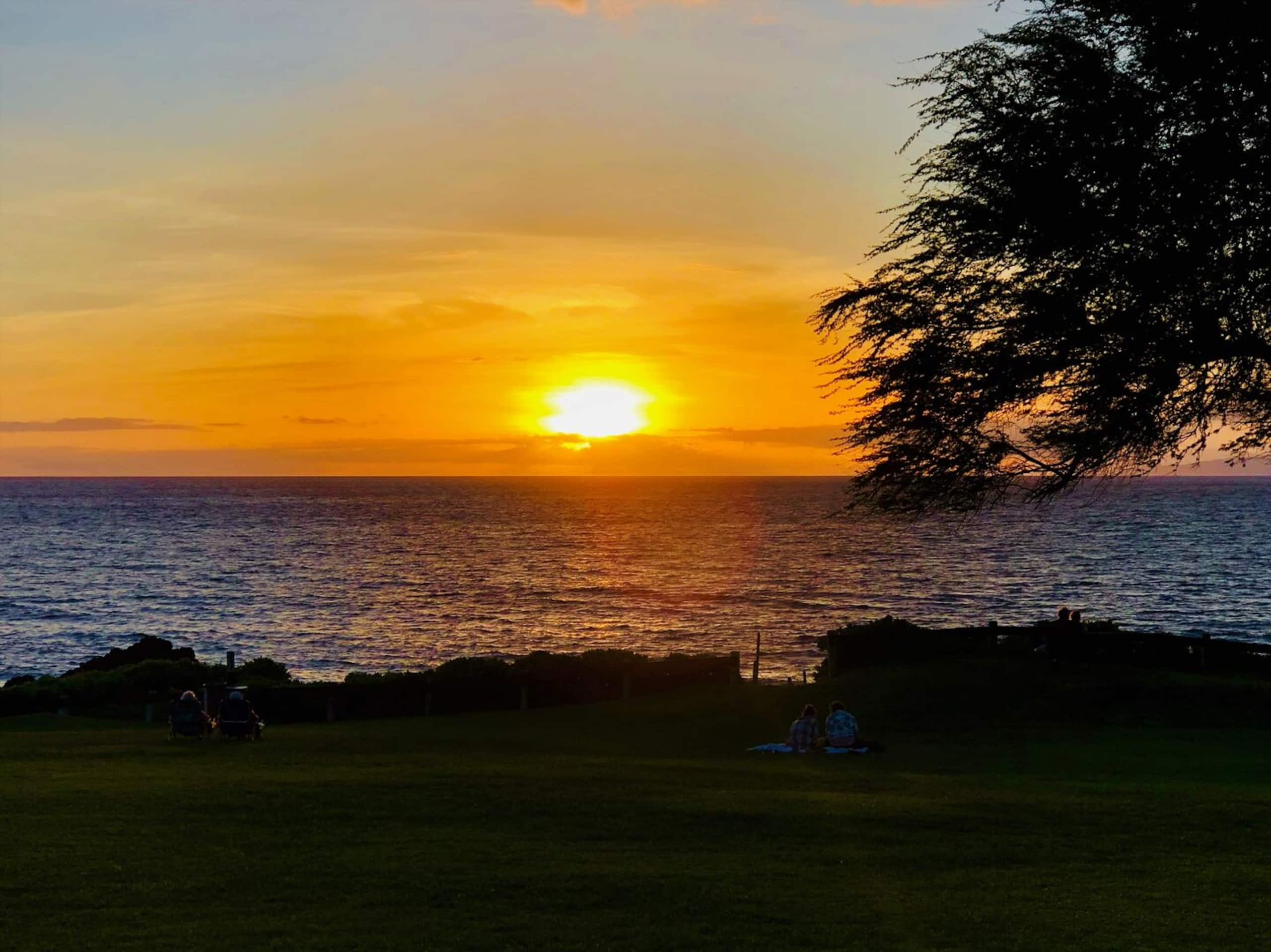 Condo in Kihei · ★4.9 · 1 bedroom · 2 beds · 2 baths - Image 53