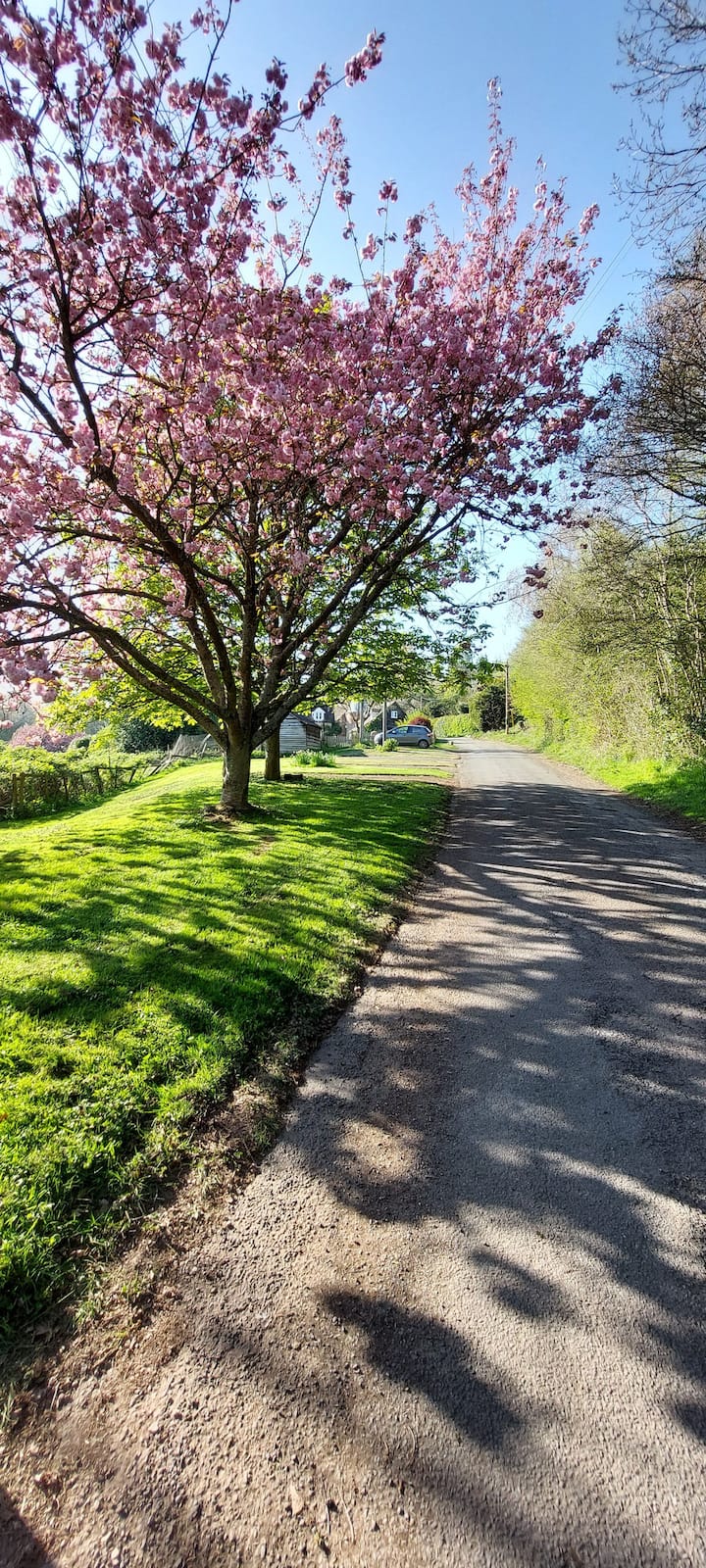 Cider Press Cottage, Cradley, Nr Malvern Wr13 5jr - Herefordshire