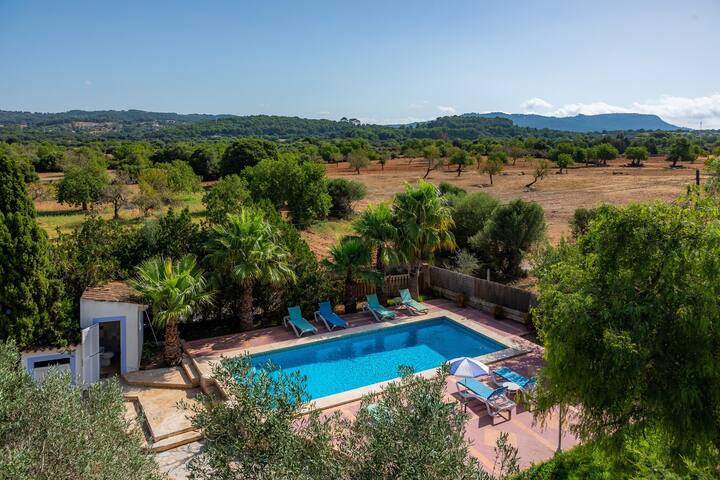 Can Garba gallery image 4