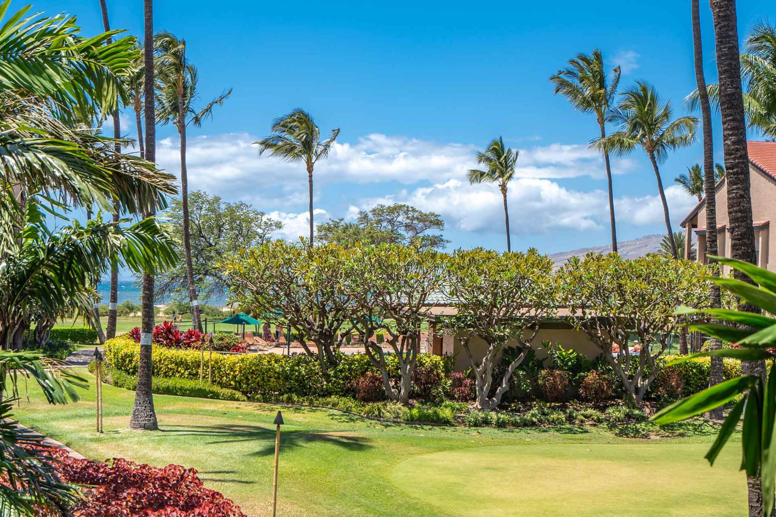 Home in Kihei · ★4.98 · 1 bedroom · 1 bed · 1 private bath - Image 2