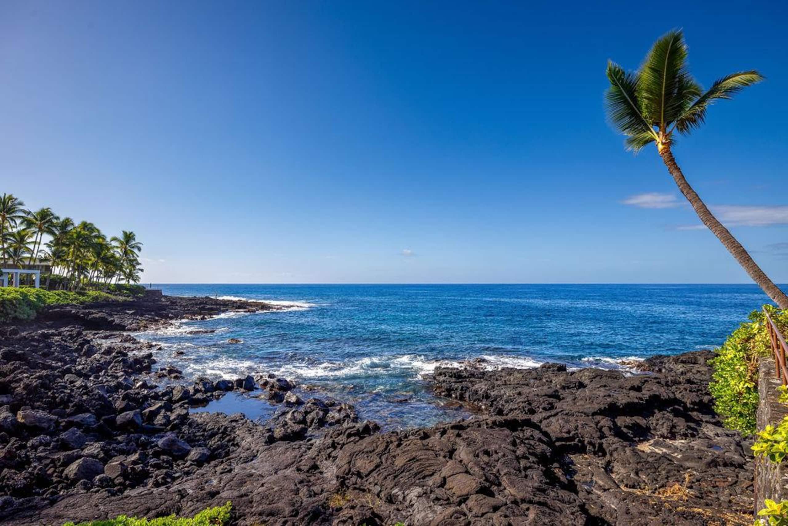 Condo in Kailua-Kona · ★4.8 · 1 bedroom · 4 beds · 1 private bath - Image 40