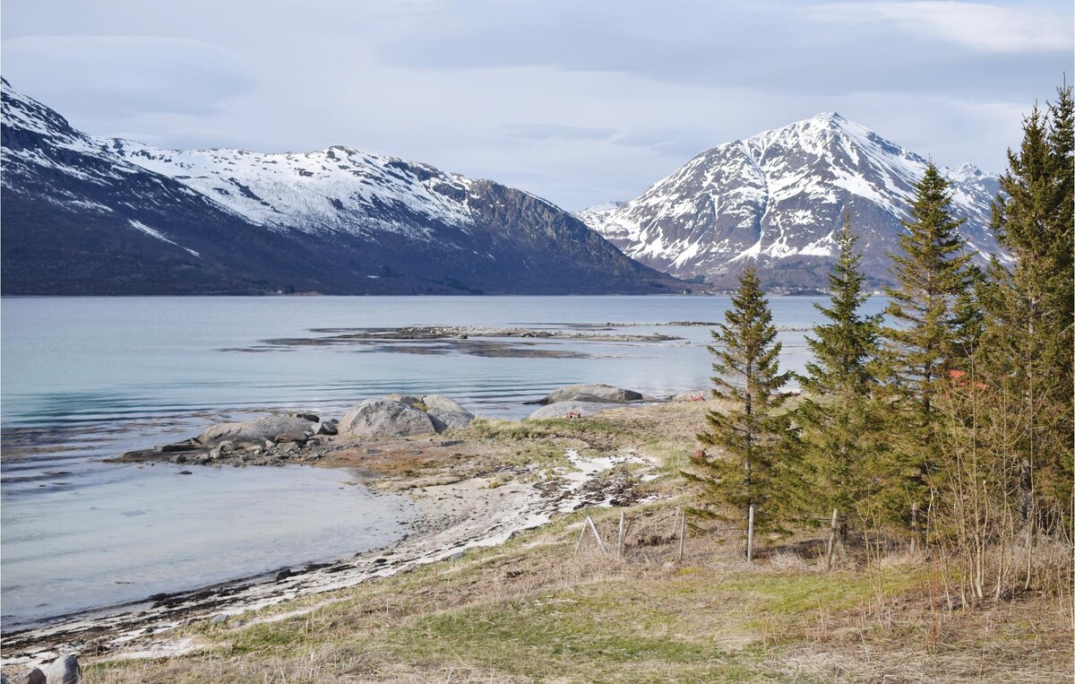 A serene landscape features a calm fjord bordered by rocky shorelines and snow-capped mountains in the distance. Tall evergreen trees line the foreground, while patches of grass and pebbles are visible along the water's edge under a soft, cloudy sky.