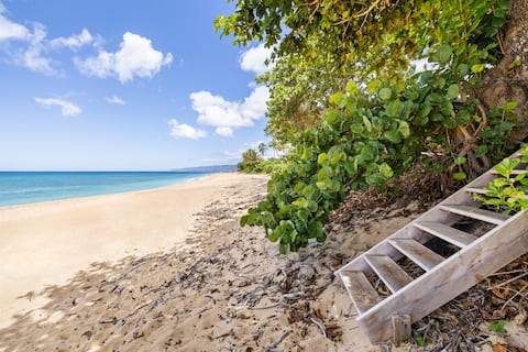 Pacific Pearl Beachfront Estate - Remodeled 2025