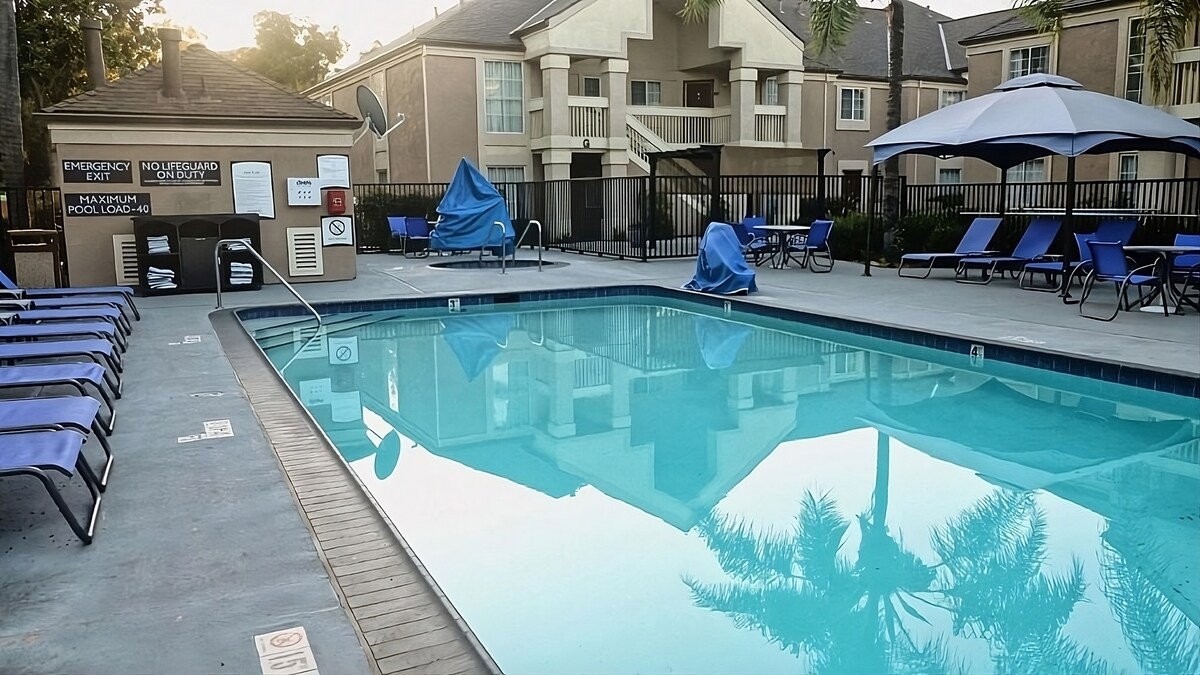 An outdoor pool area features a clear, reflective surface with several lounge chairs positioned around the perimeter. Umbrellas provide shade for relaxation. The pool is surrounded by a secure fence, and the adjacent building can be seen in the background, with palm trees adding greenery to the setting.