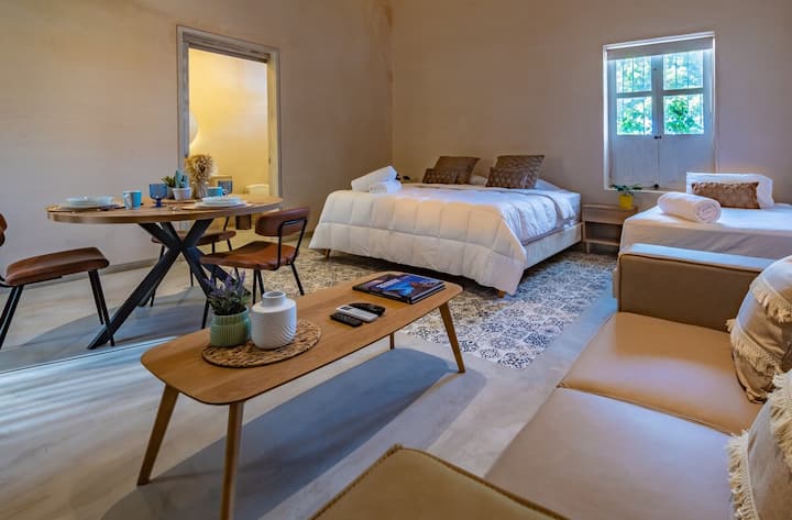 Dhomë e gjerë dhe e ndritshme me ajër të kondicionuar, ideale për të pushuar pas një dite eksplorimi të qendrës historike. Ajo kombinon rehatinë moderne me hijeshinë e qetë të një shtëpie republikane.