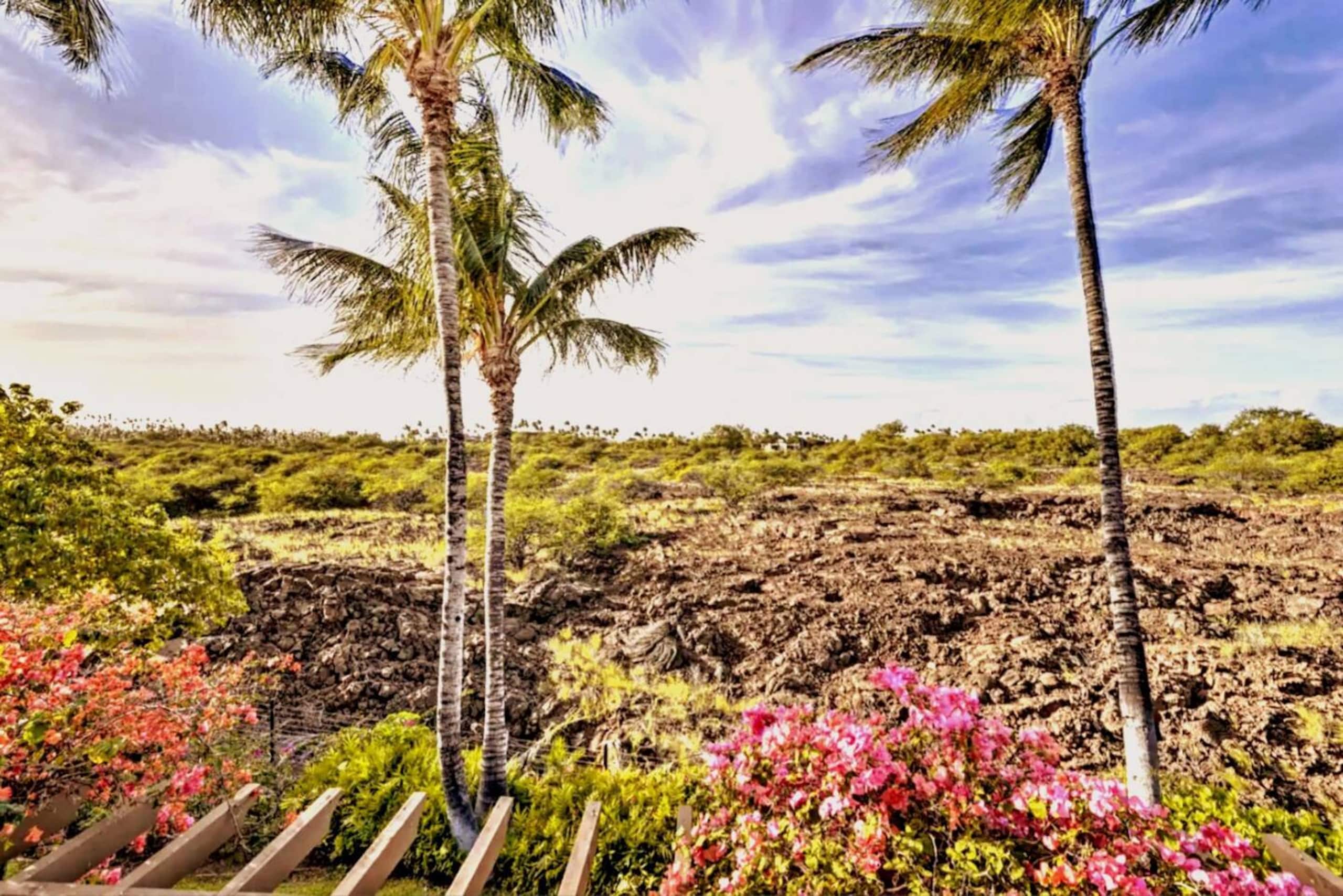 Townhouse in Waimea · ★4.91 · 3 bedrooms · 5 beds · 2 baths - Image 37