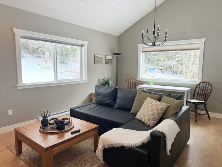 3" eggshell foam Ikea pullout sofa bed