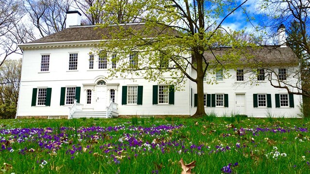 A historic white house is set against a backdrop of green trees and blue sky. Vibrant purple and white flowers are spread across the lush lawn, enhancing the tranquil outdoor setting. Large windows and classic shutters adorn the exterior, reflecting traditional architecture.