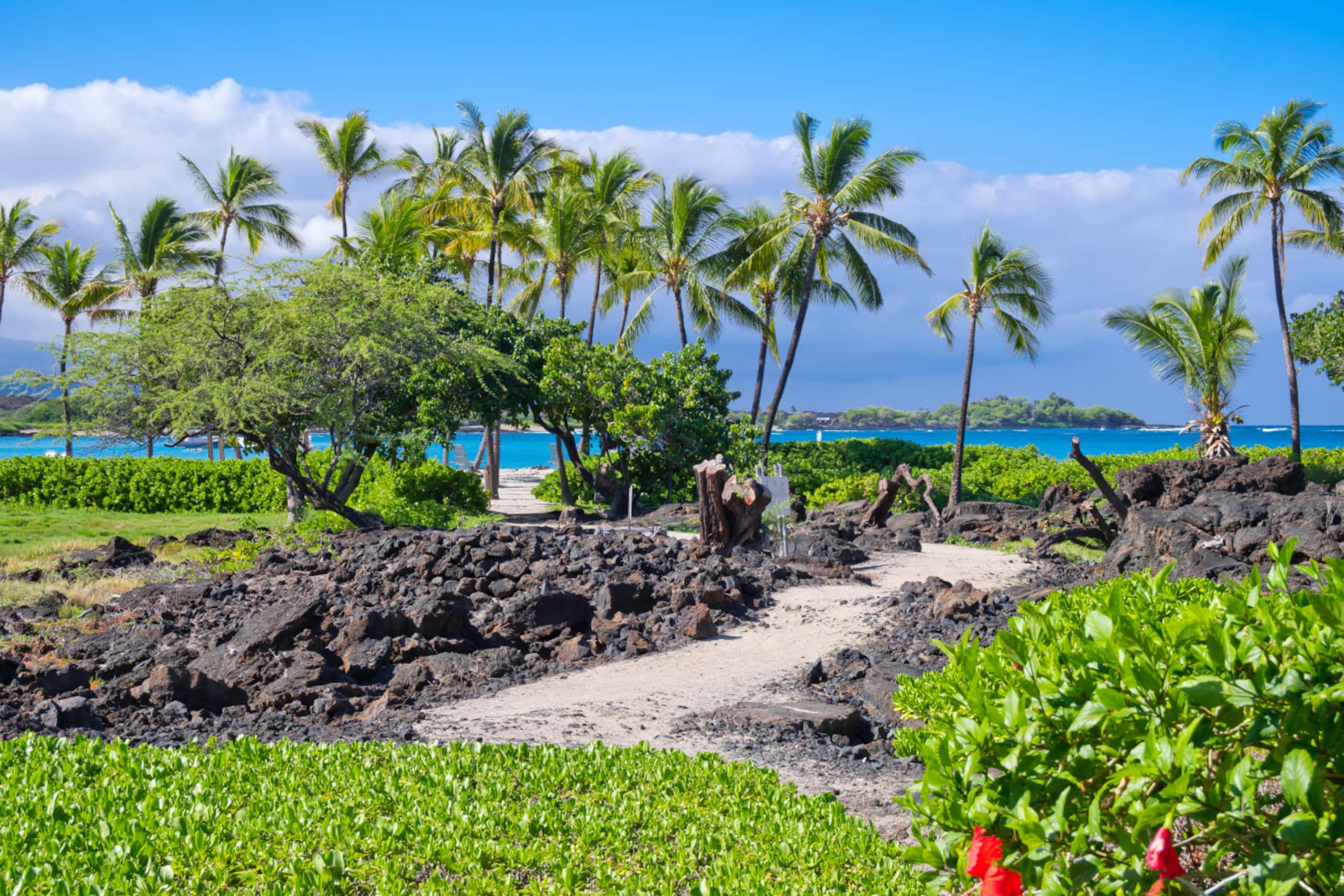 Condo in Waikoloa Village · ★4.87 · 3 bedrooms · 4 beds · 2 baths - Photo 50