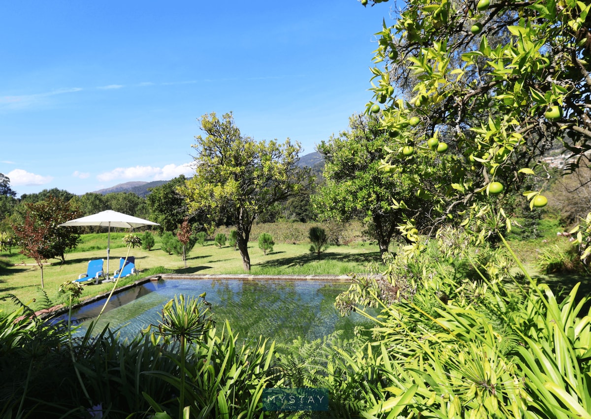 A private swimming pool is set within a natural landscape, surrounded by lush greenery and fruit trees. The clear water reflects the sky, while a shaded area with an umbrella and lounge chairs invites relaxation. The serene environment is notable for its expansive lawn and distant hills.