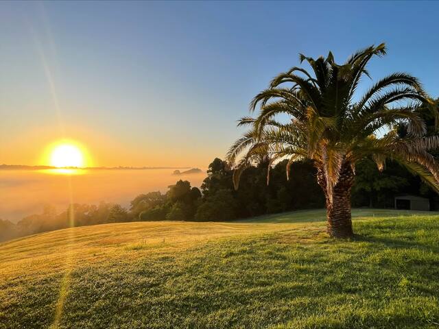 Daybreak Forest – A luxurious escape in Clunes gallery image 5