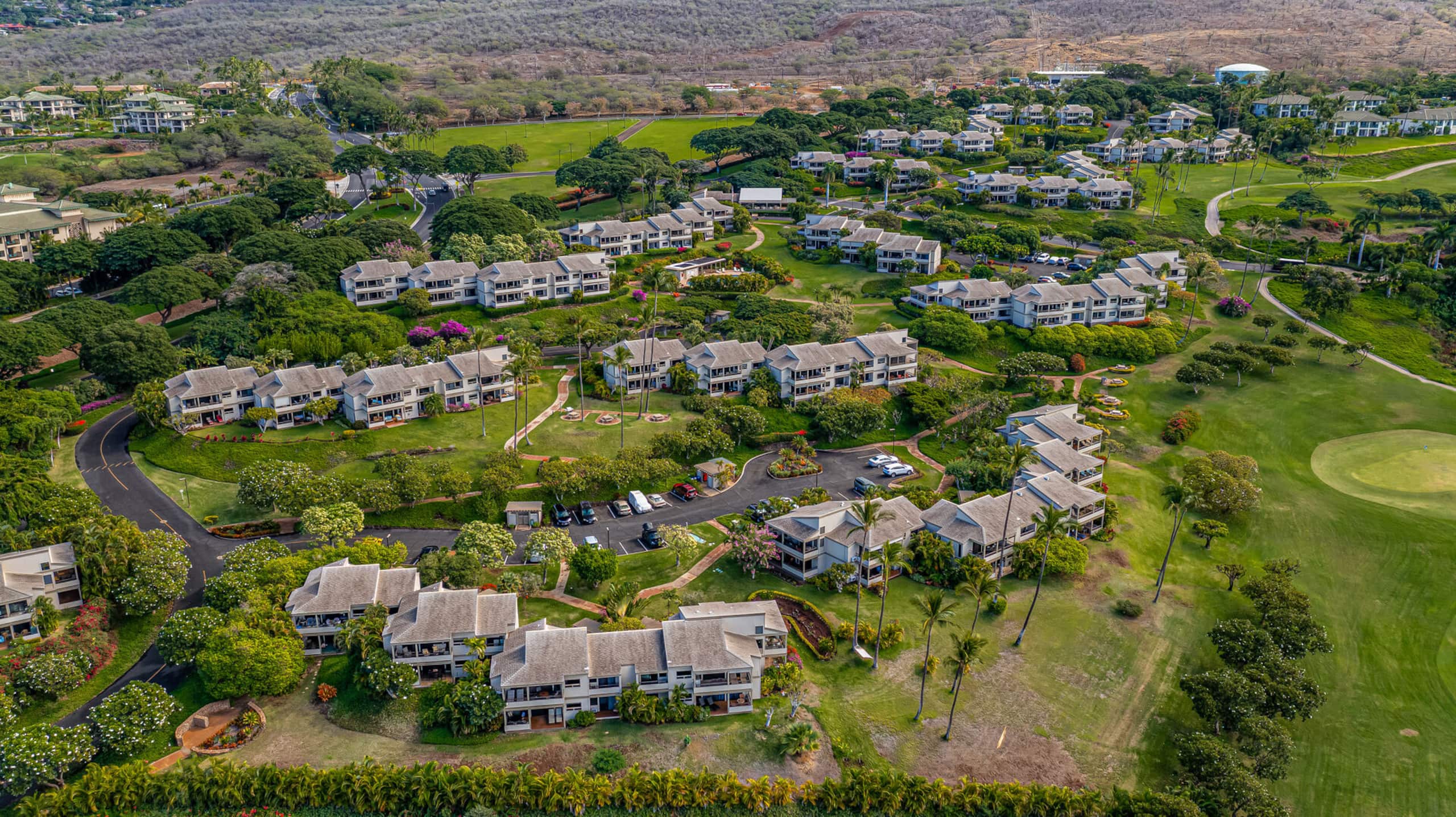 Condo in Kihei · ★4.98 · 1 bedroom · 2 beds · 2 baths - Image 29