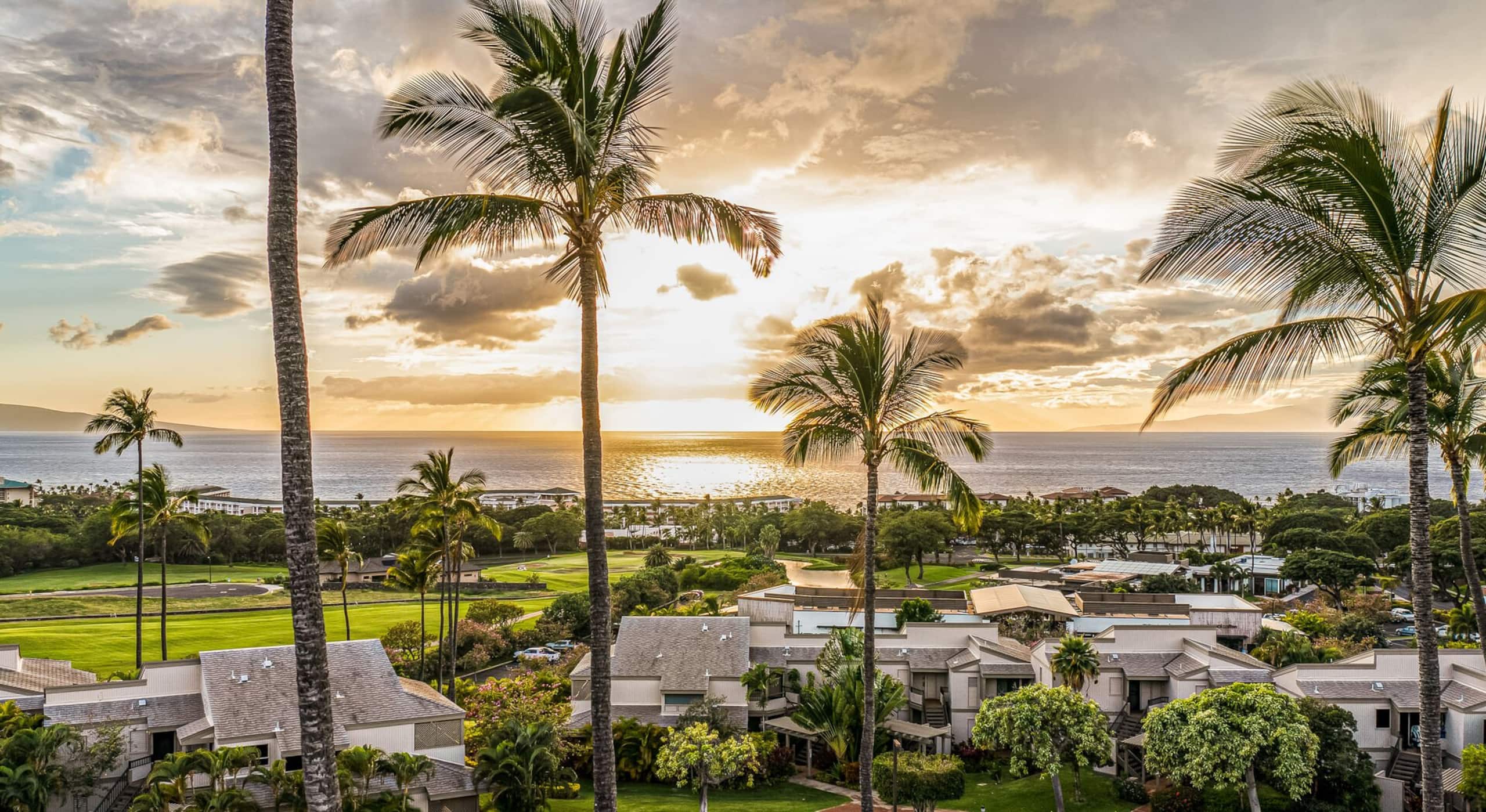 Condo in Kihei · ★4.98 · 1 bedroom · 2 beds · 2 baths - Image 38