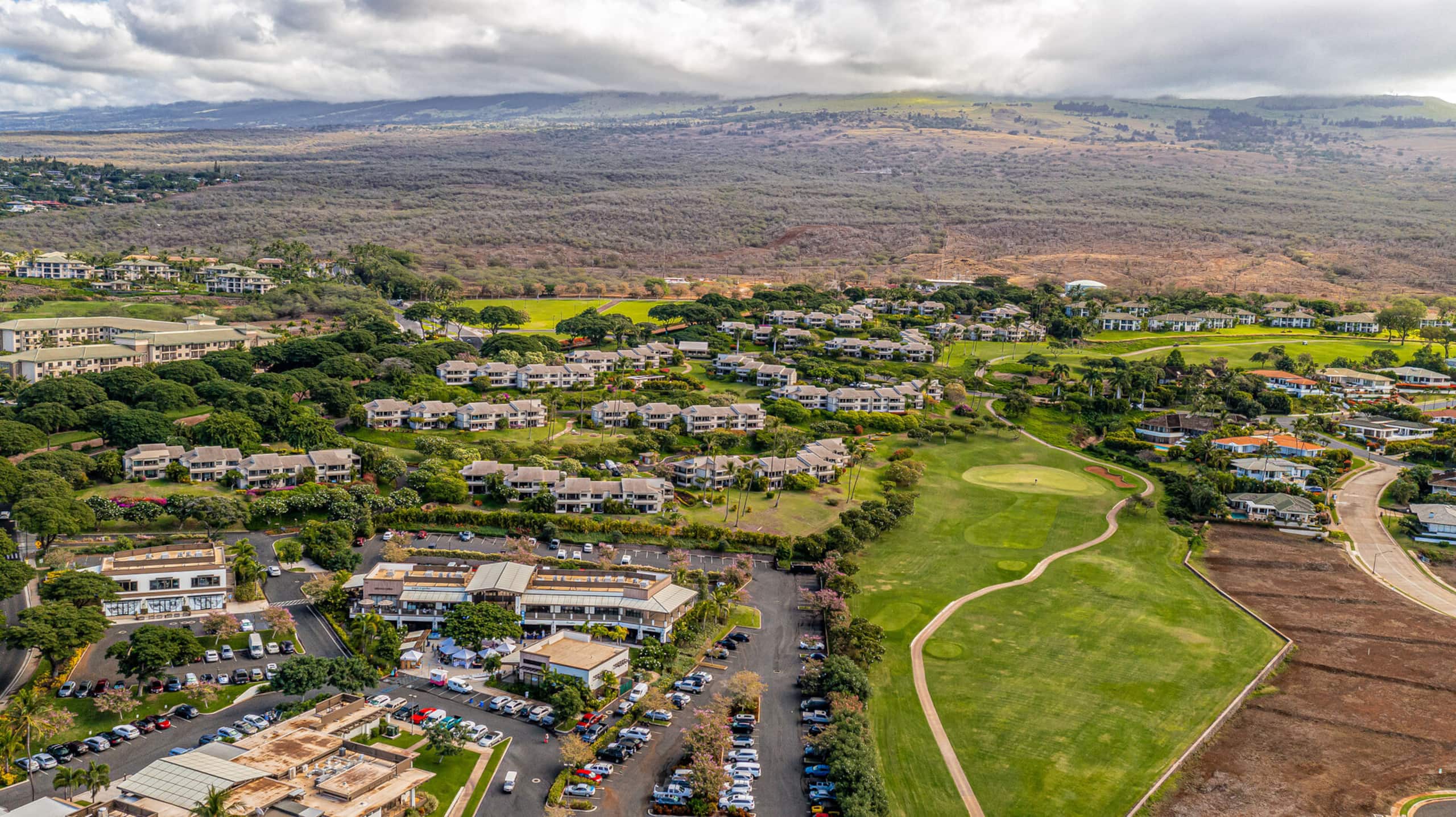 Condo in Kihei · ★4.98 · 1 bedroom · 2 beds · 2 baths - Image 30