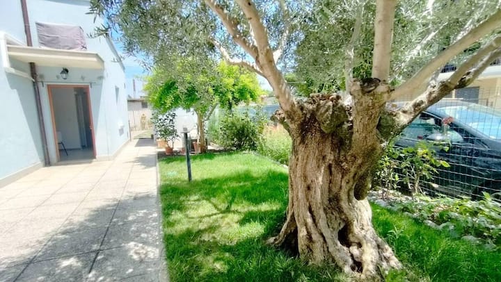 Casa Samy - Rimini